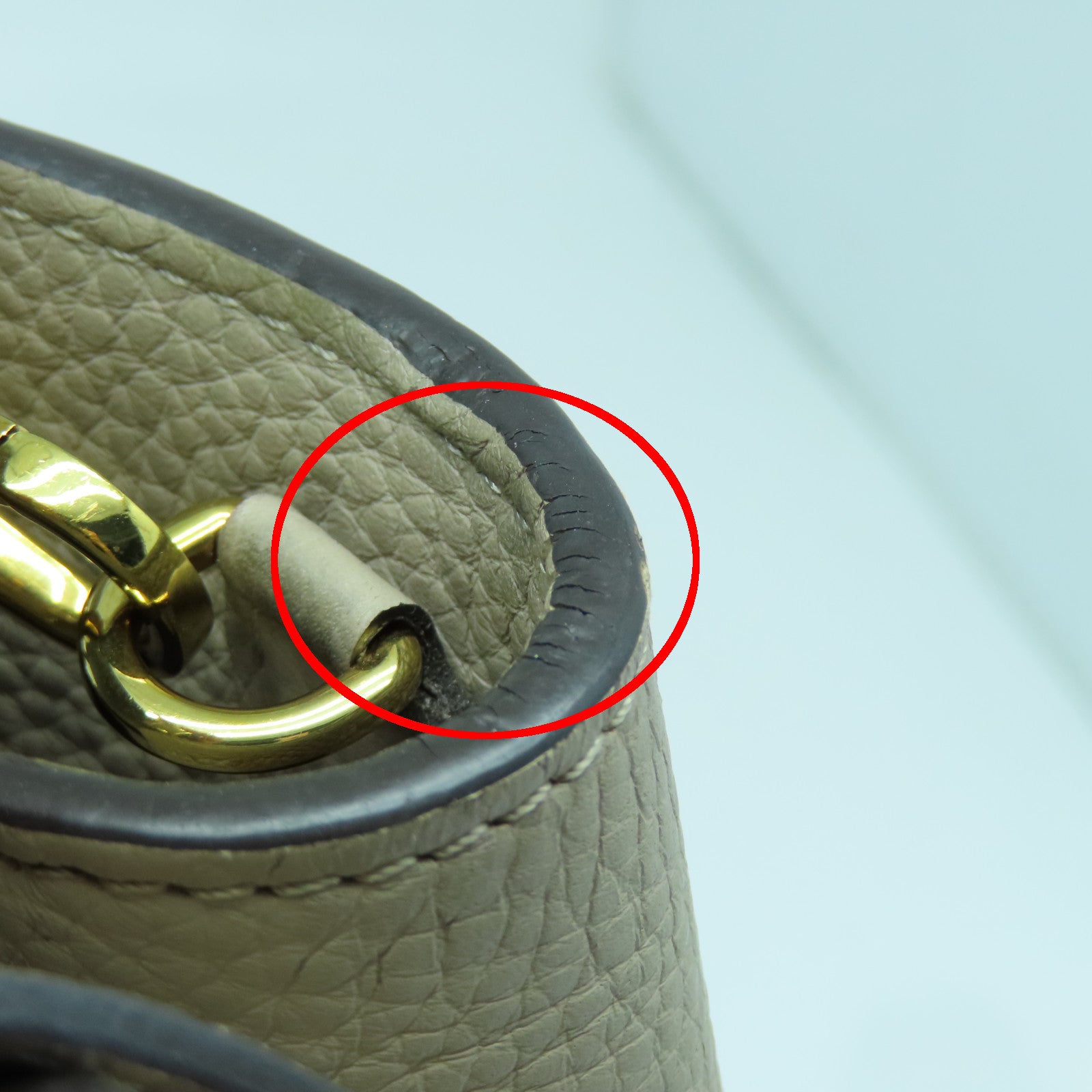 LOUIS VUITTON 牛皮皮革/蛇皮皮革Capucines MM金扣手挽肩背两用袋灰褐色