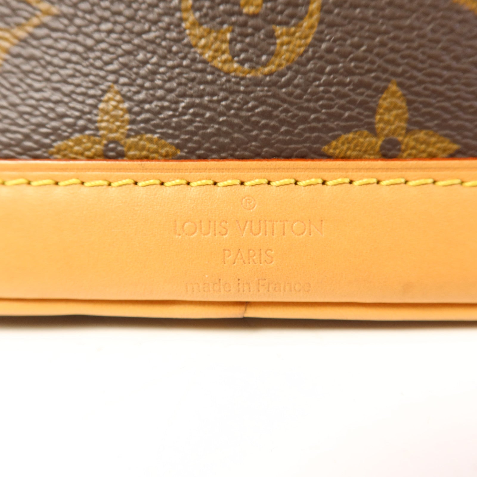 LOUIS VUITTON Monogram Nano Noe金扣手挽肩背兩用袋