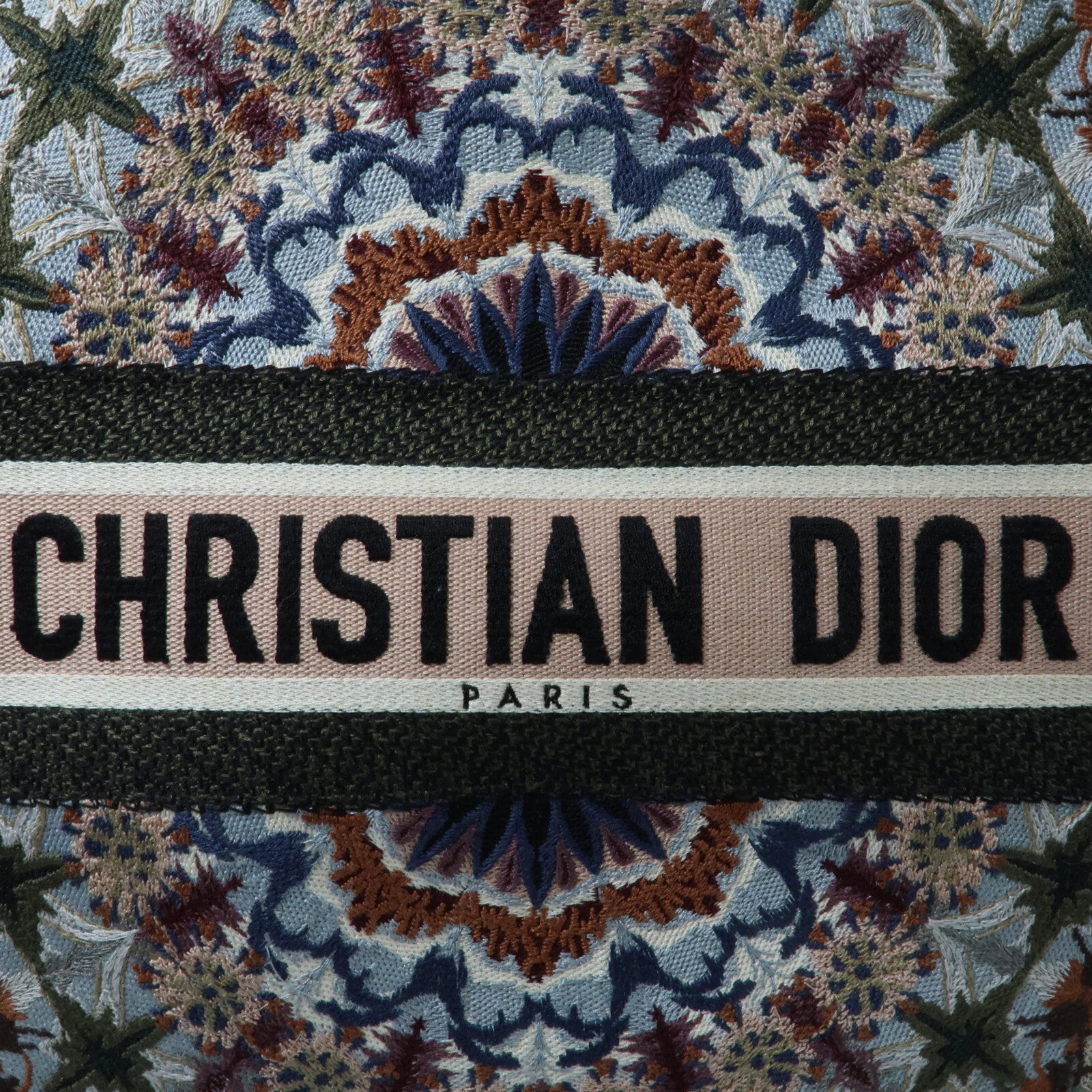Dior 帆布Book Tote Bag手挽袋
