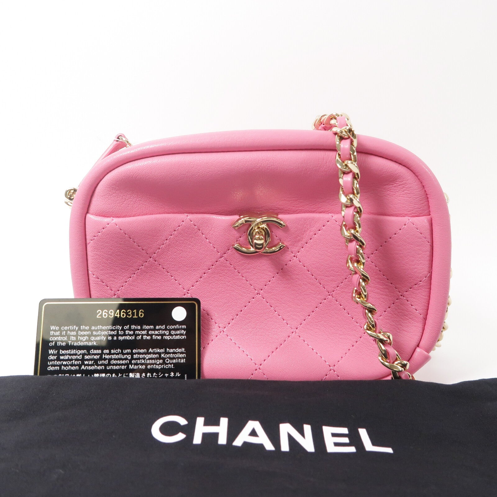 CHANEL 山羊皮革Camera Bag鏈帶肩背袋