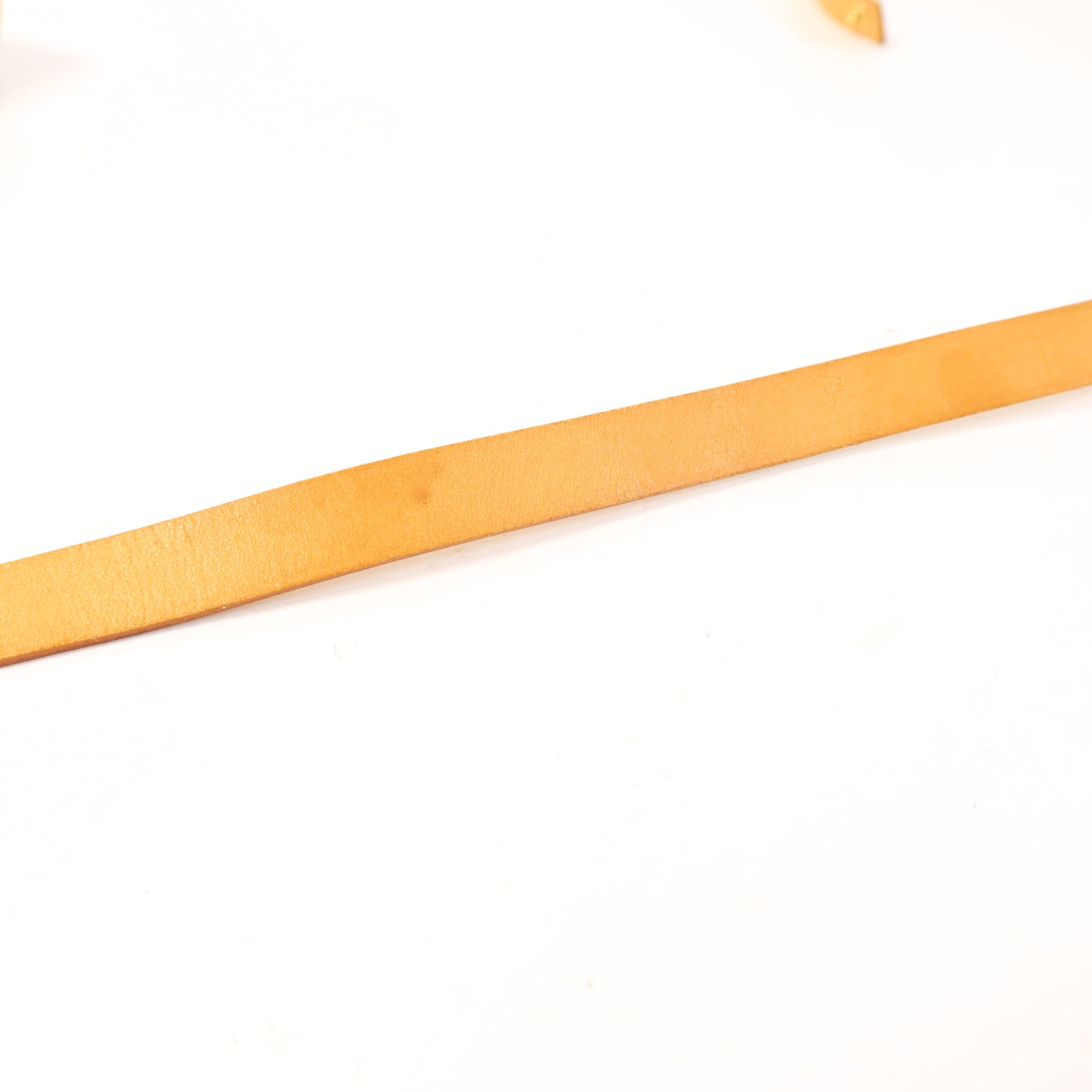 LOUIS VUITTON Monogram Pochette Florentine金扣腰包棕色