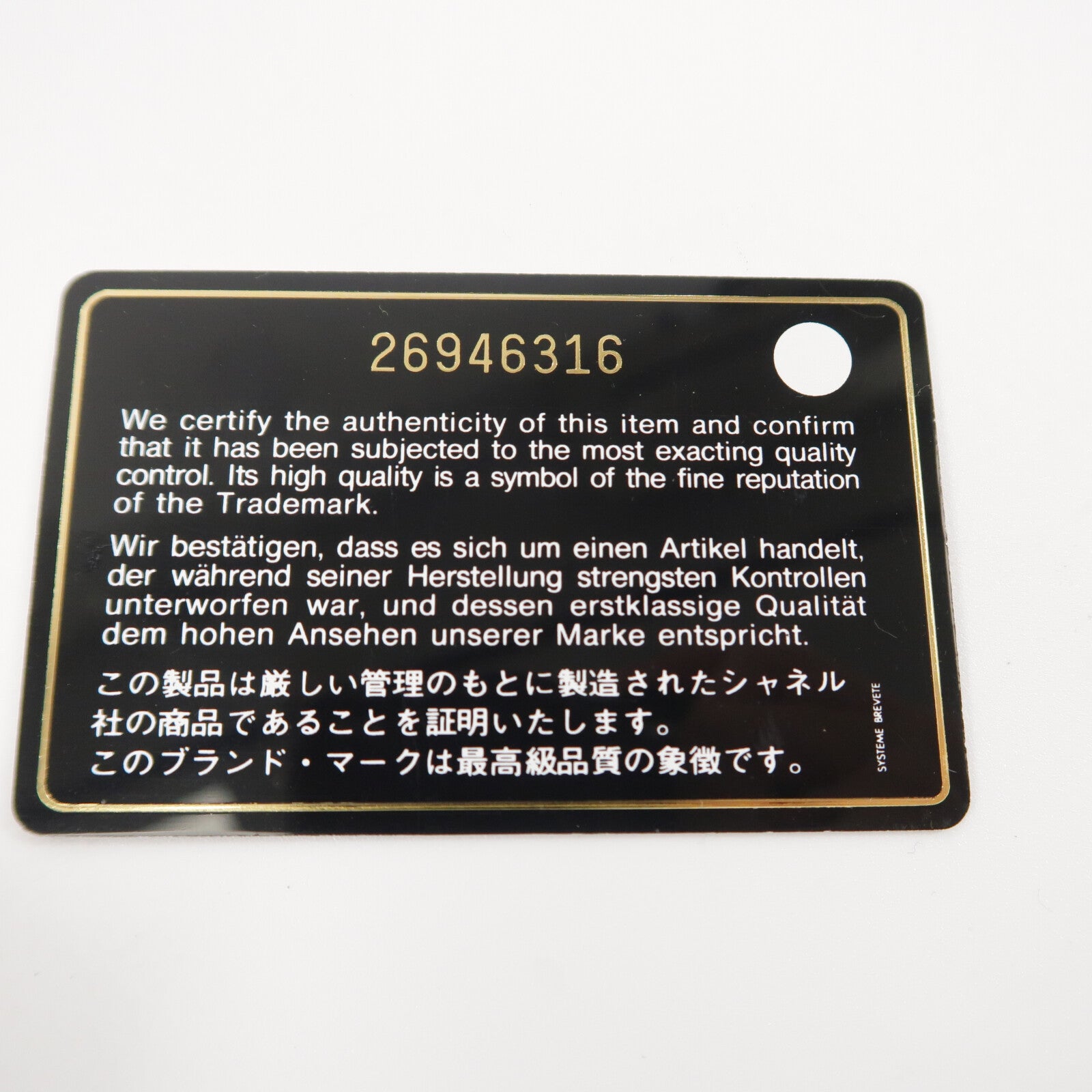 CHANEL 山羊皮革Camera Bag鏈帶肩背袋