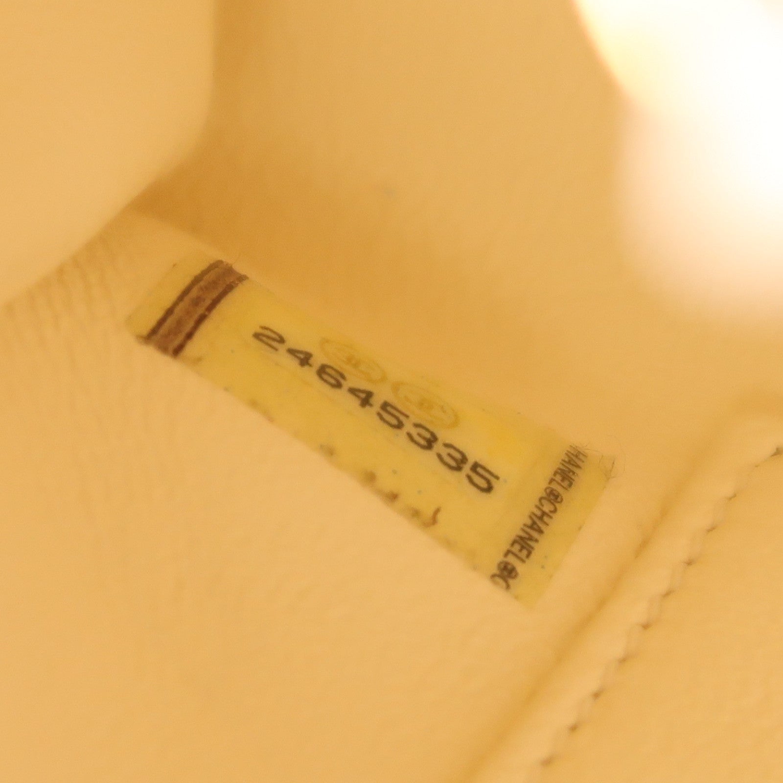 CHANEL 牛皮皮革/蜥蝪皮革Coco Handle金扣手挽肩背兩用袋