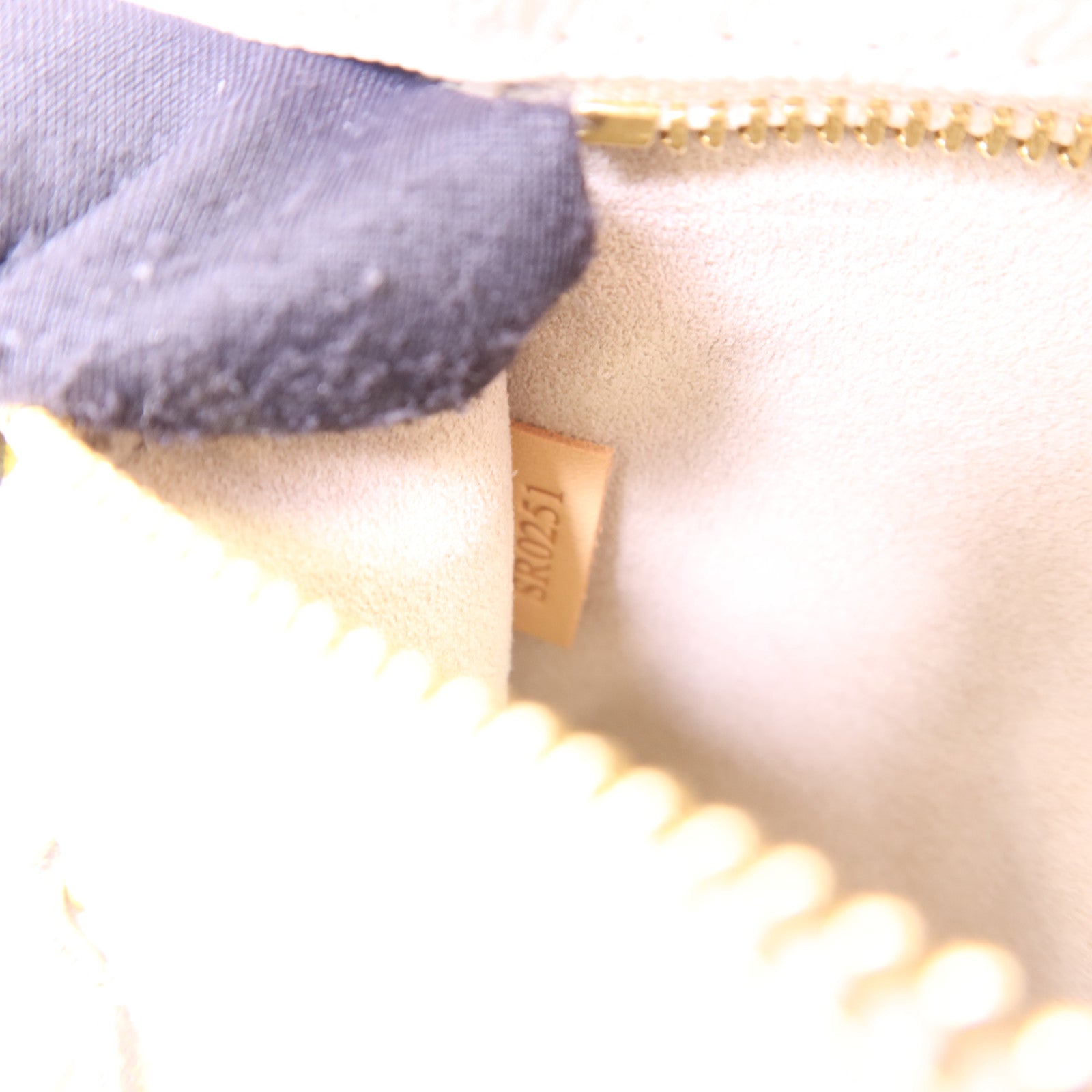 LOUIS VUITTON Monogram Giant By The Pool Backpack金扣背包