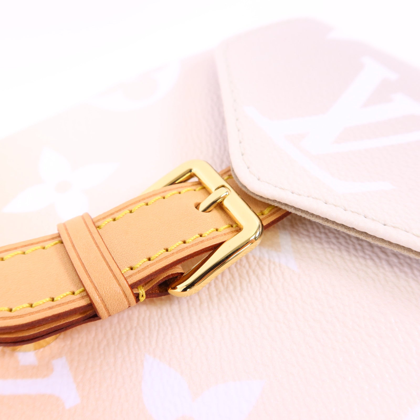 LOUIS VUITTON Monogram Giant By The Pool Backpack金扣背包