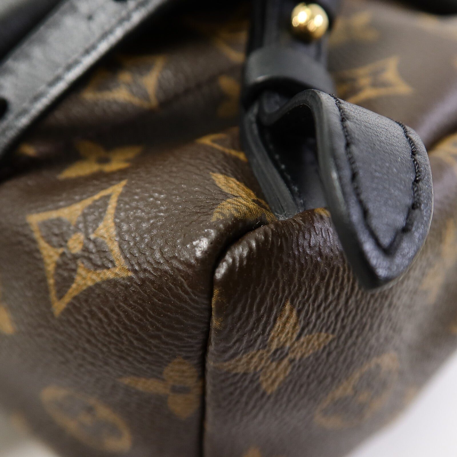 LOUIS VUITTON Monogram Palm Springs PM金扣背包