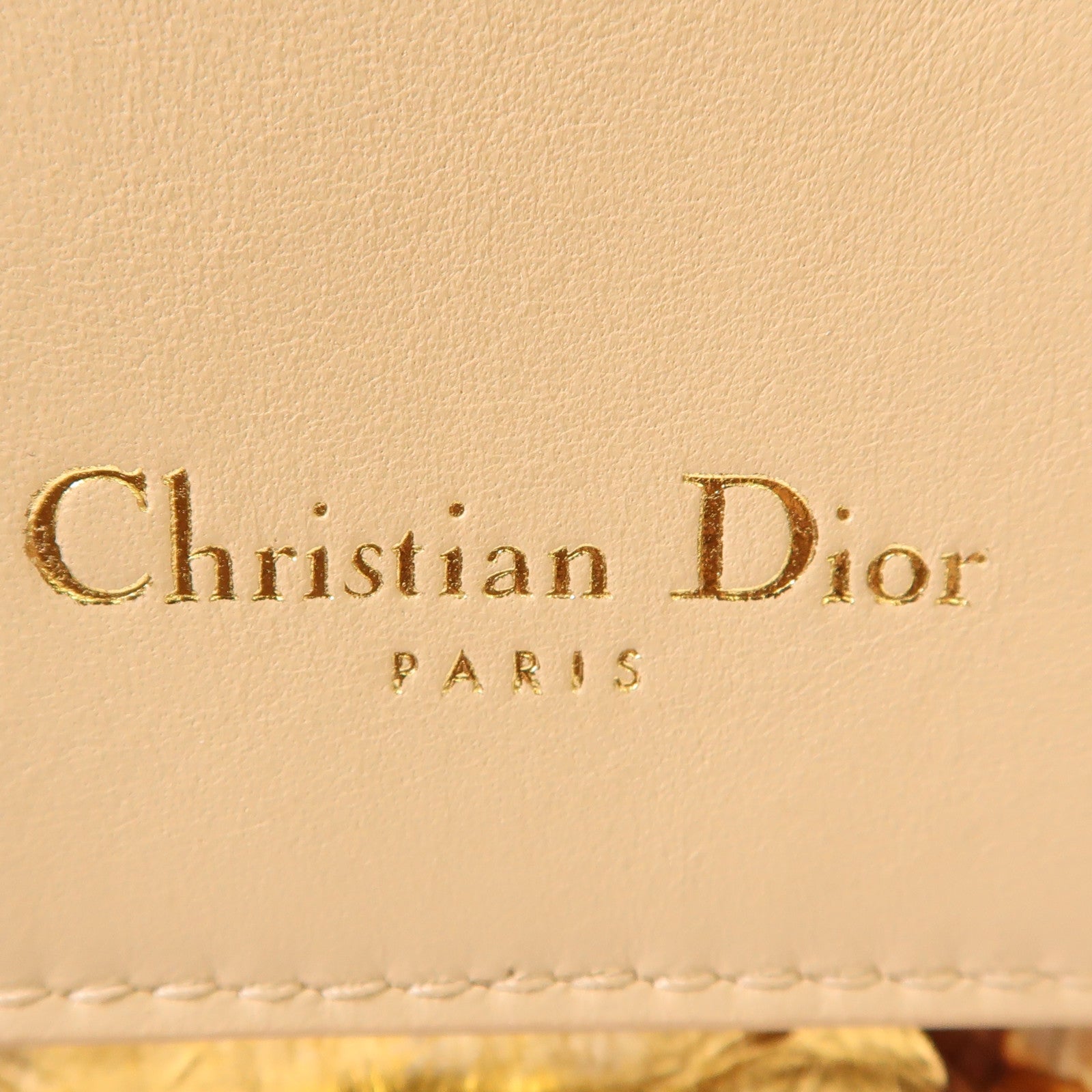 Dior【激減優惠】 蛇皮皮革Be Dior Bag銀扣手挽肩背兩用袋