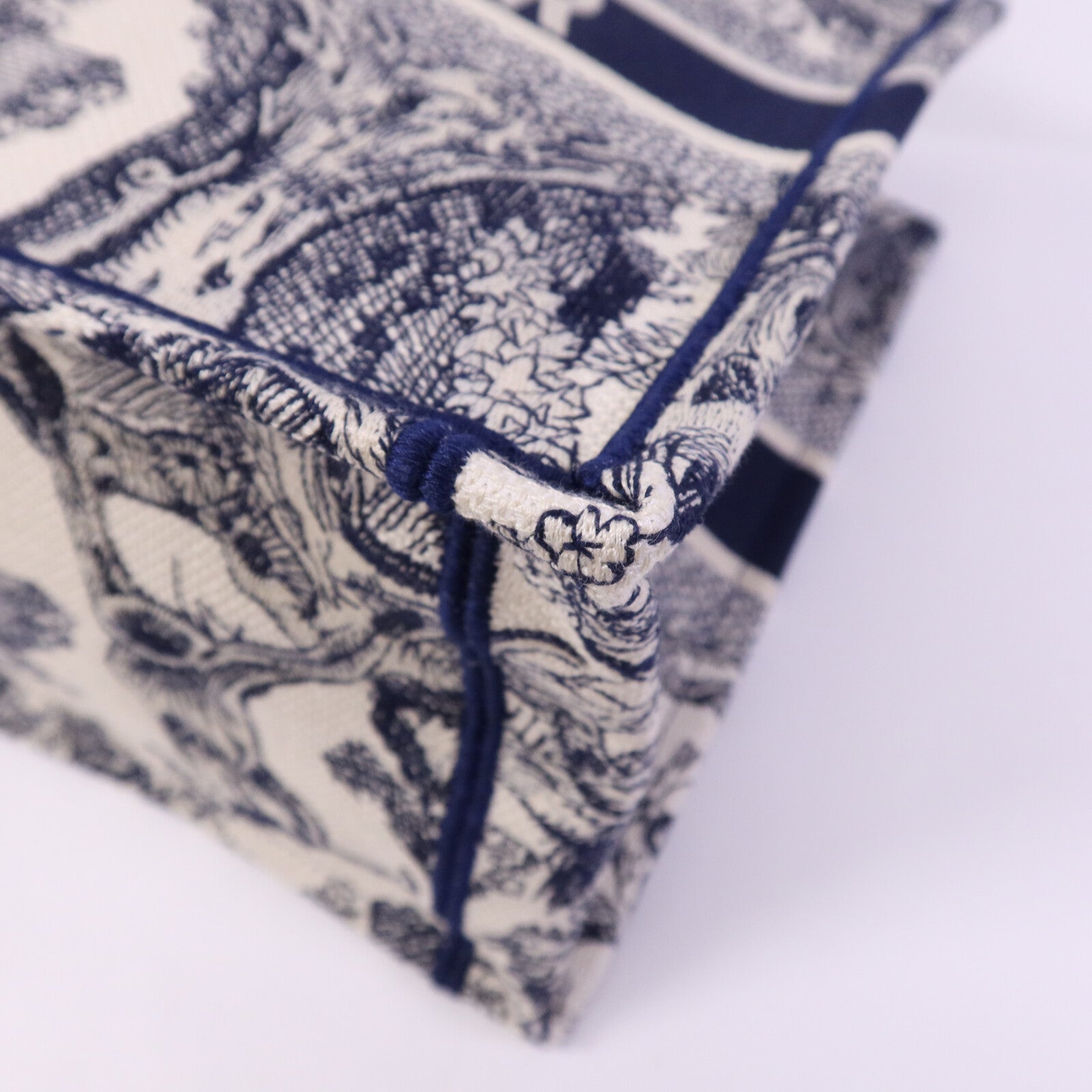 Dior 帆布Book Tote Bag手挽袋
