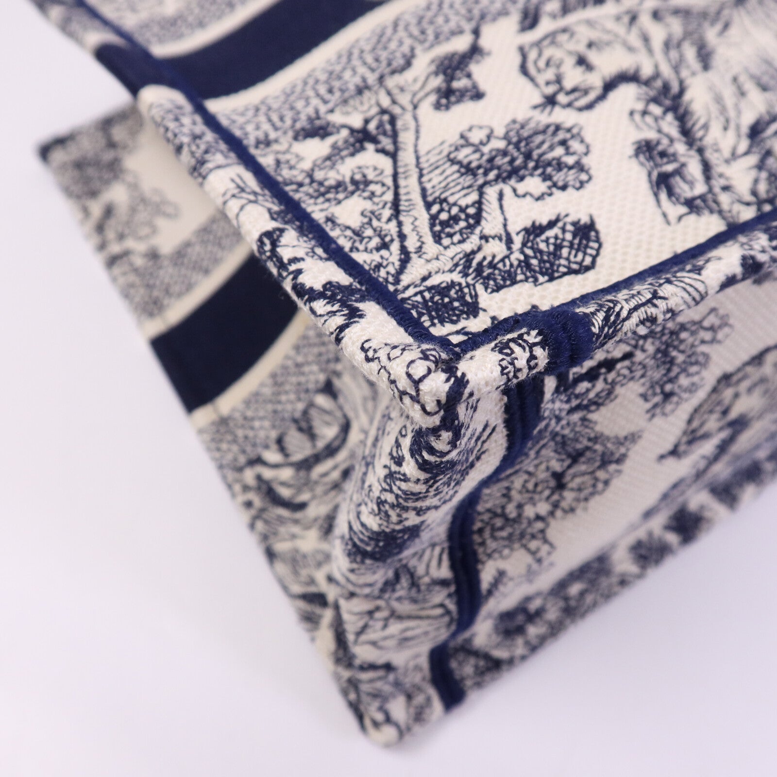 Dior 帆布Book Tote Bag手挽袋