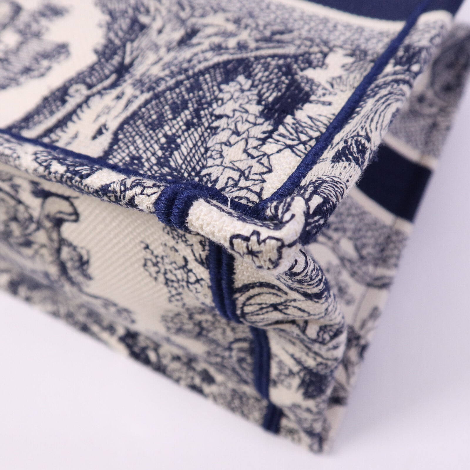 Dior 帆布Book Tote Bag手挽袋