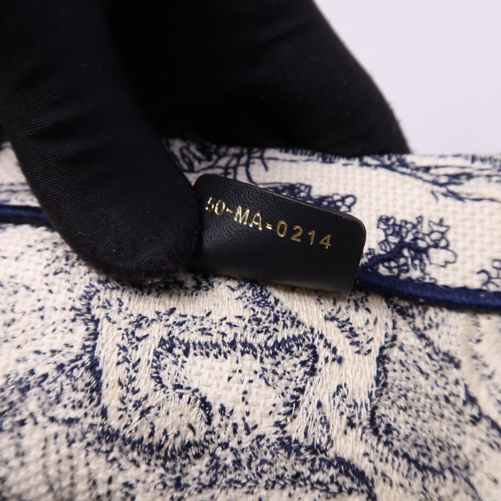 Dior 帆布Book Tote Bag手挽袋