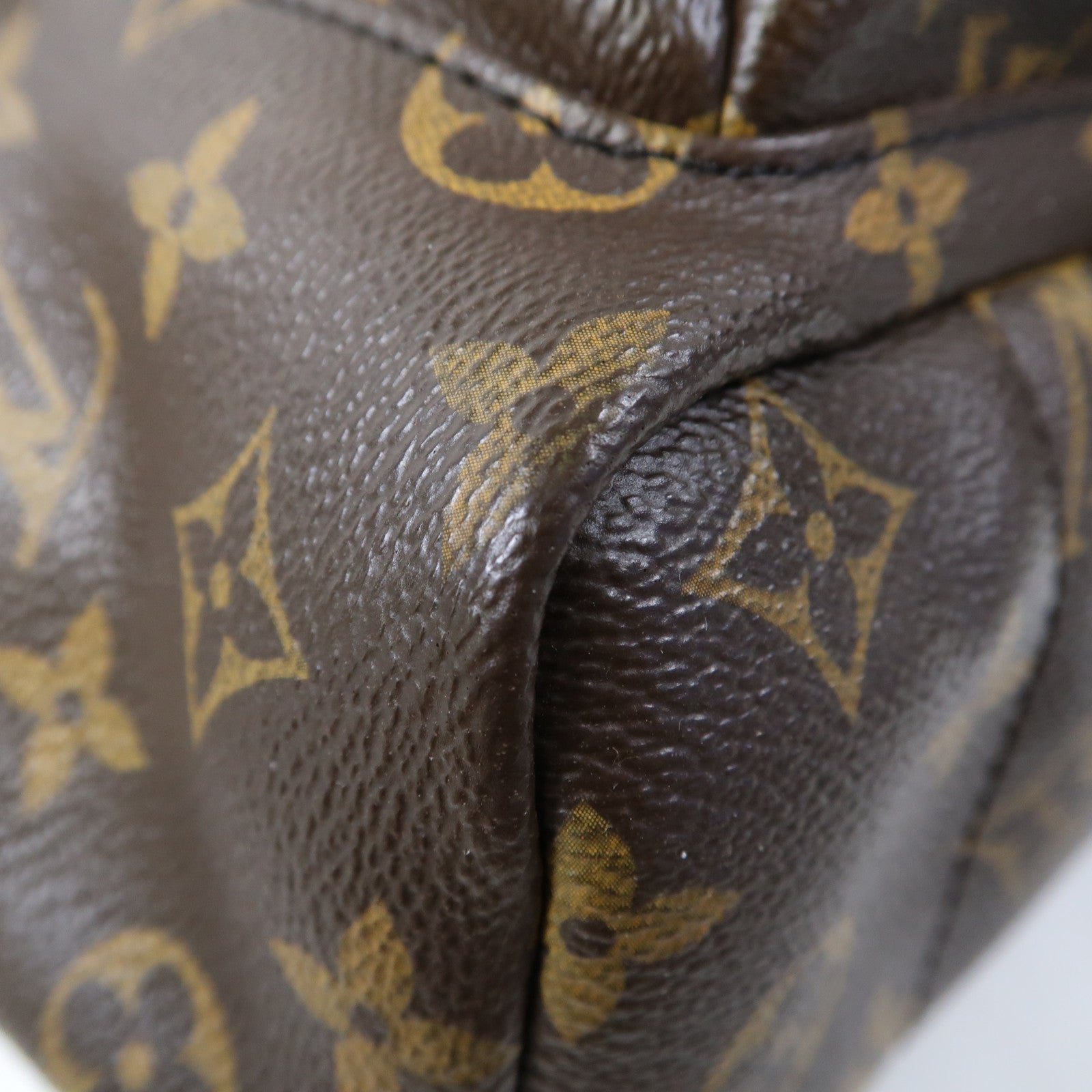 LOUIS VUITTON Monogram Macassar Palm Spring PM金扣背包棕色