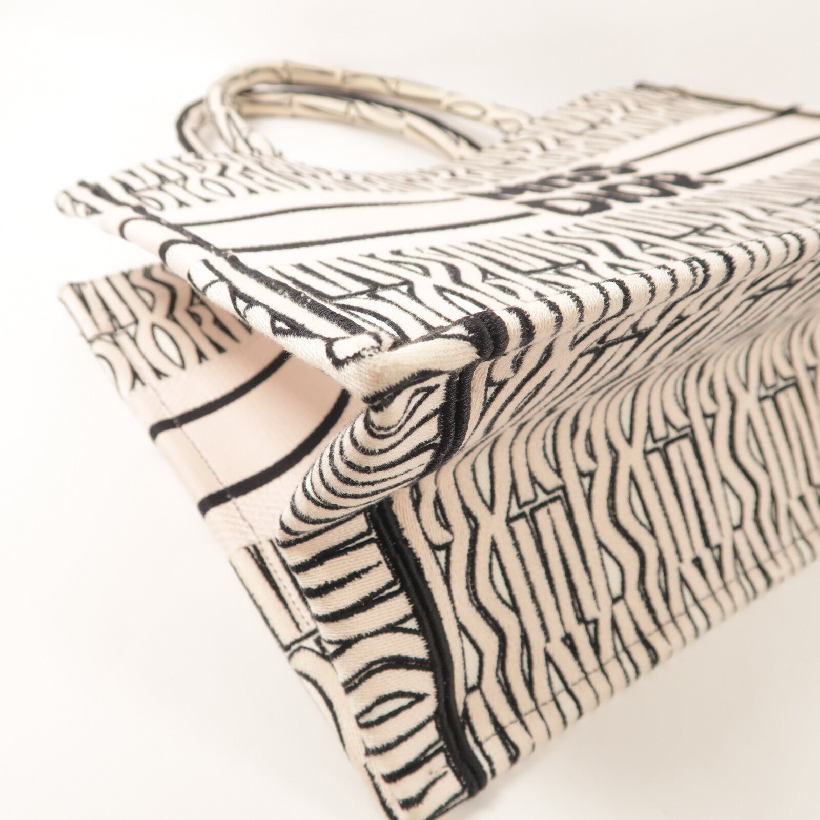 Dior 帆布Book Tote Bag手挽袋