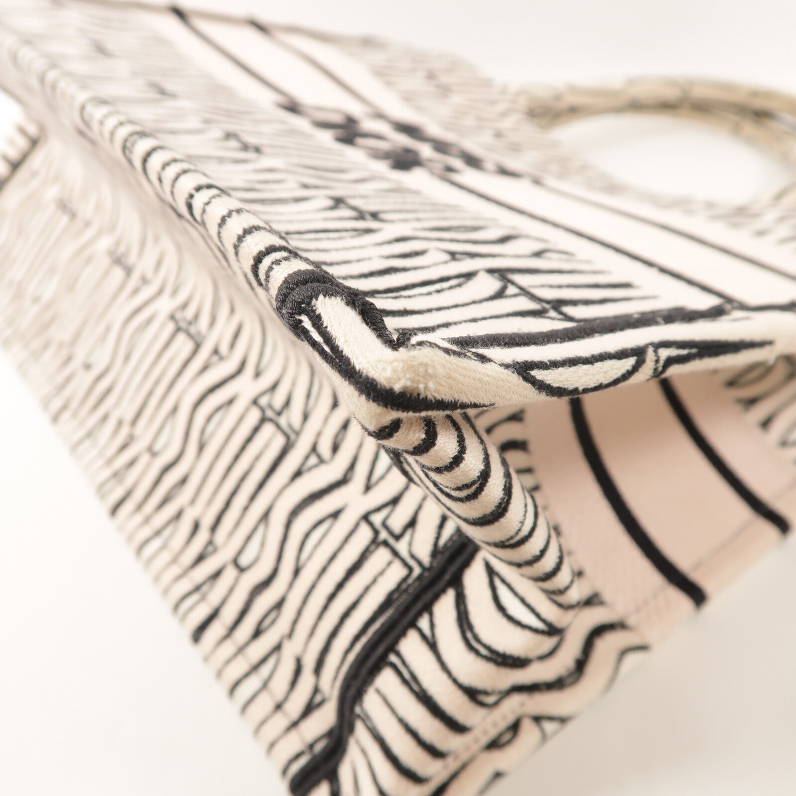 Dior 帆布Book Tote Bag手挽袋