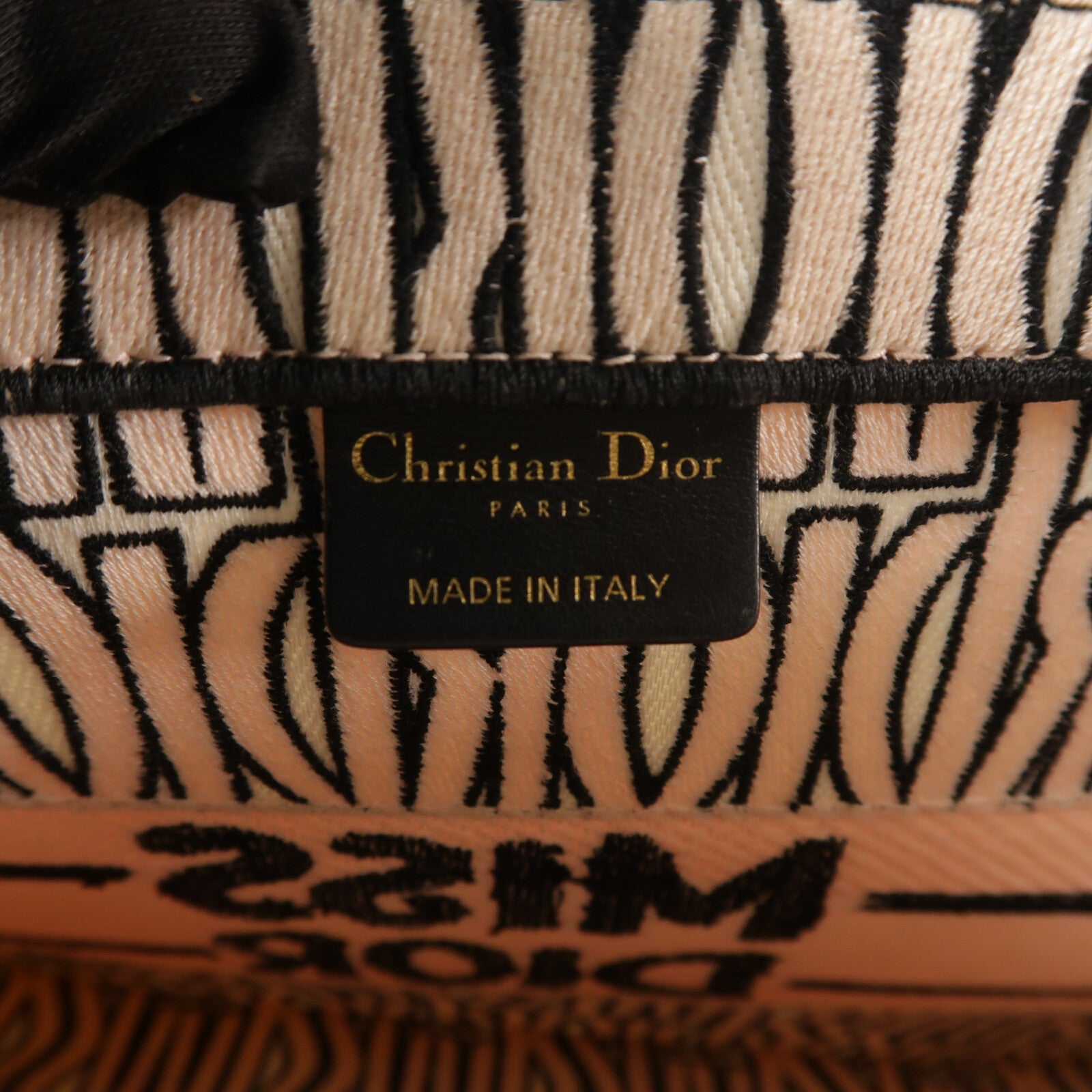 Dior 帆布Book Tote Bag手挽袋