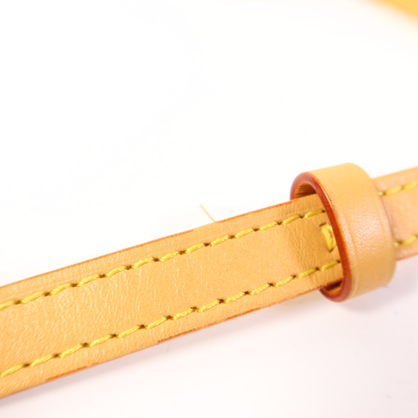 LOUIS VUITTON Monogram Mini Bumbag金扣手挽肩背兩用袋棕色