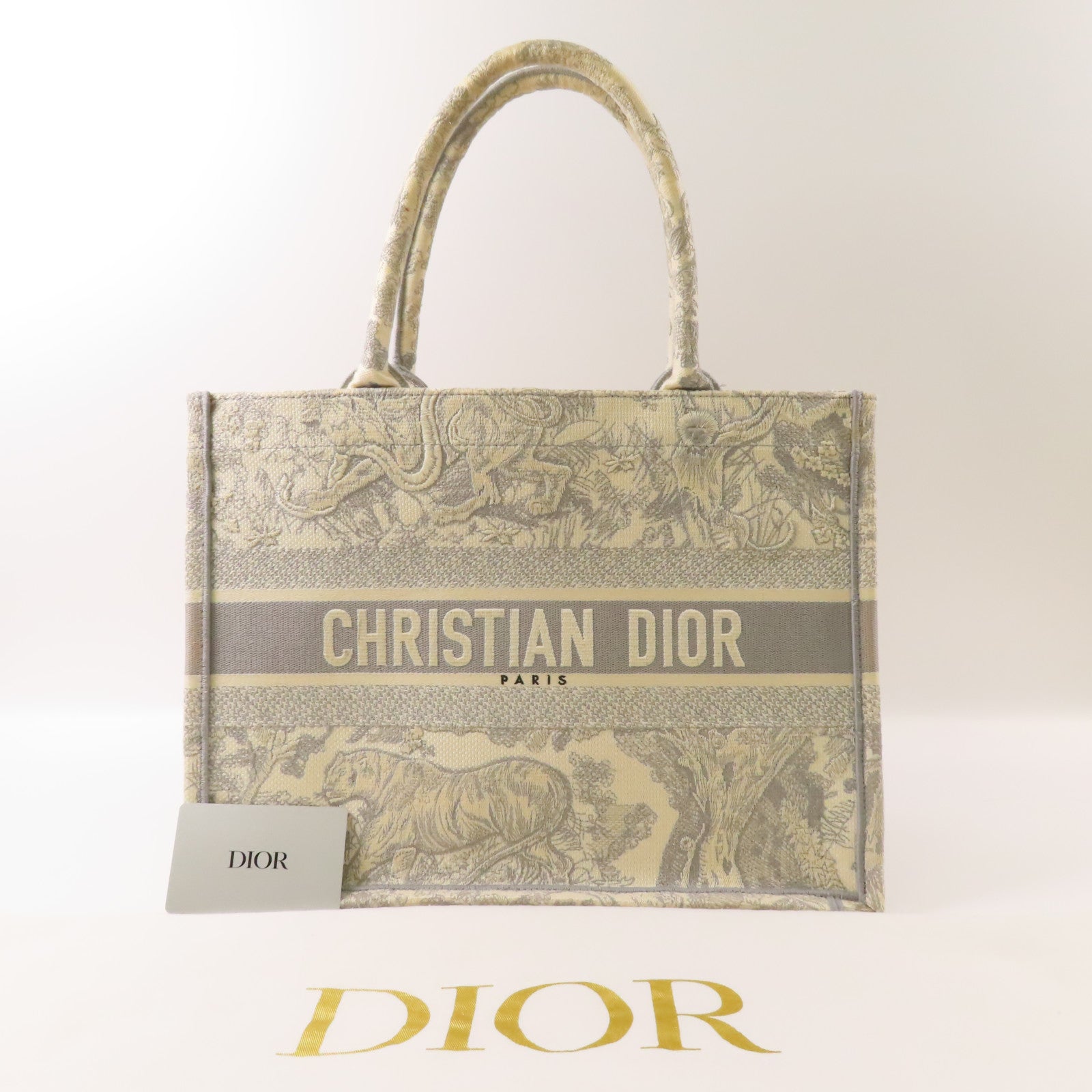 Dior 帆布Book Tote Medium手挽袋