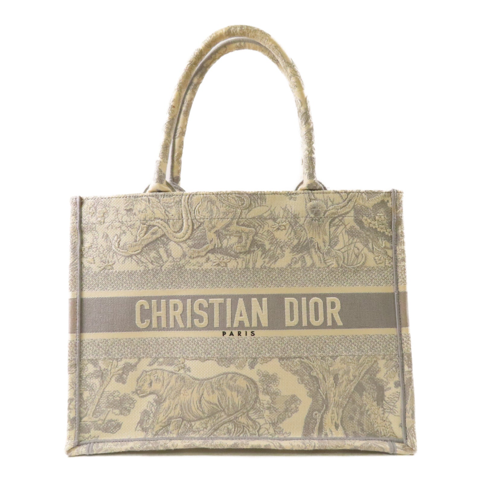 Dior 帆布Book Tote Medium手挽袋