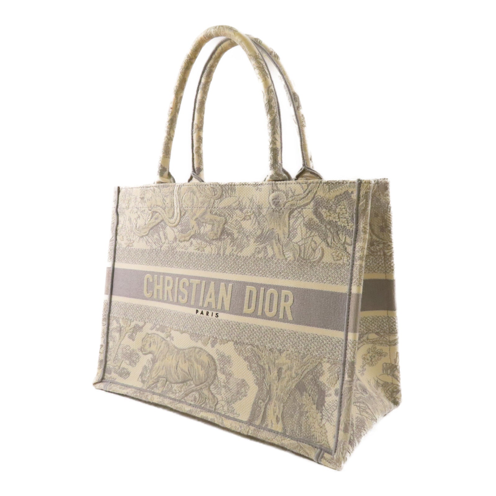 Dior 帆布Book Tote Medium手挽袋