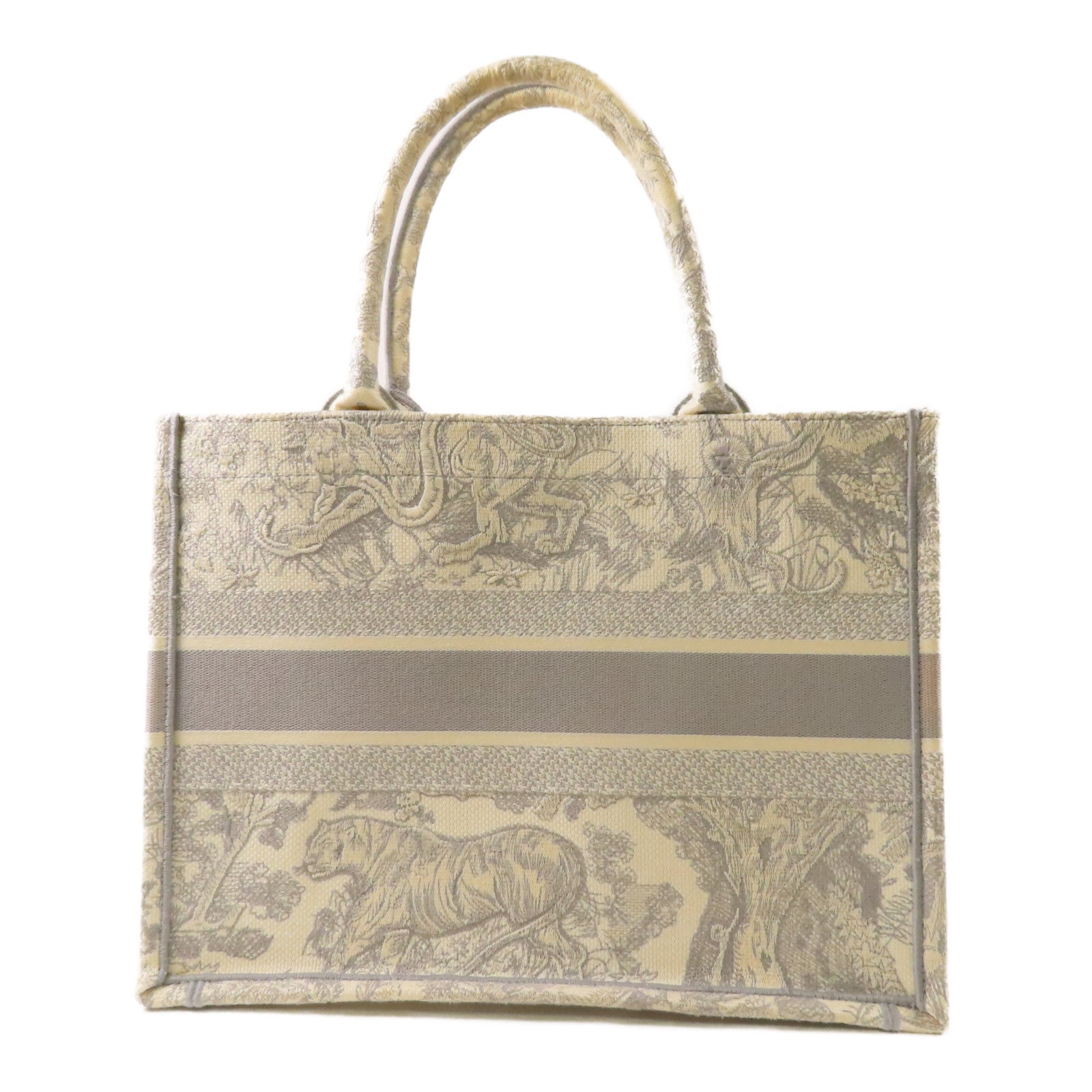 Dior 帆布Book Tote Medium手挽袋