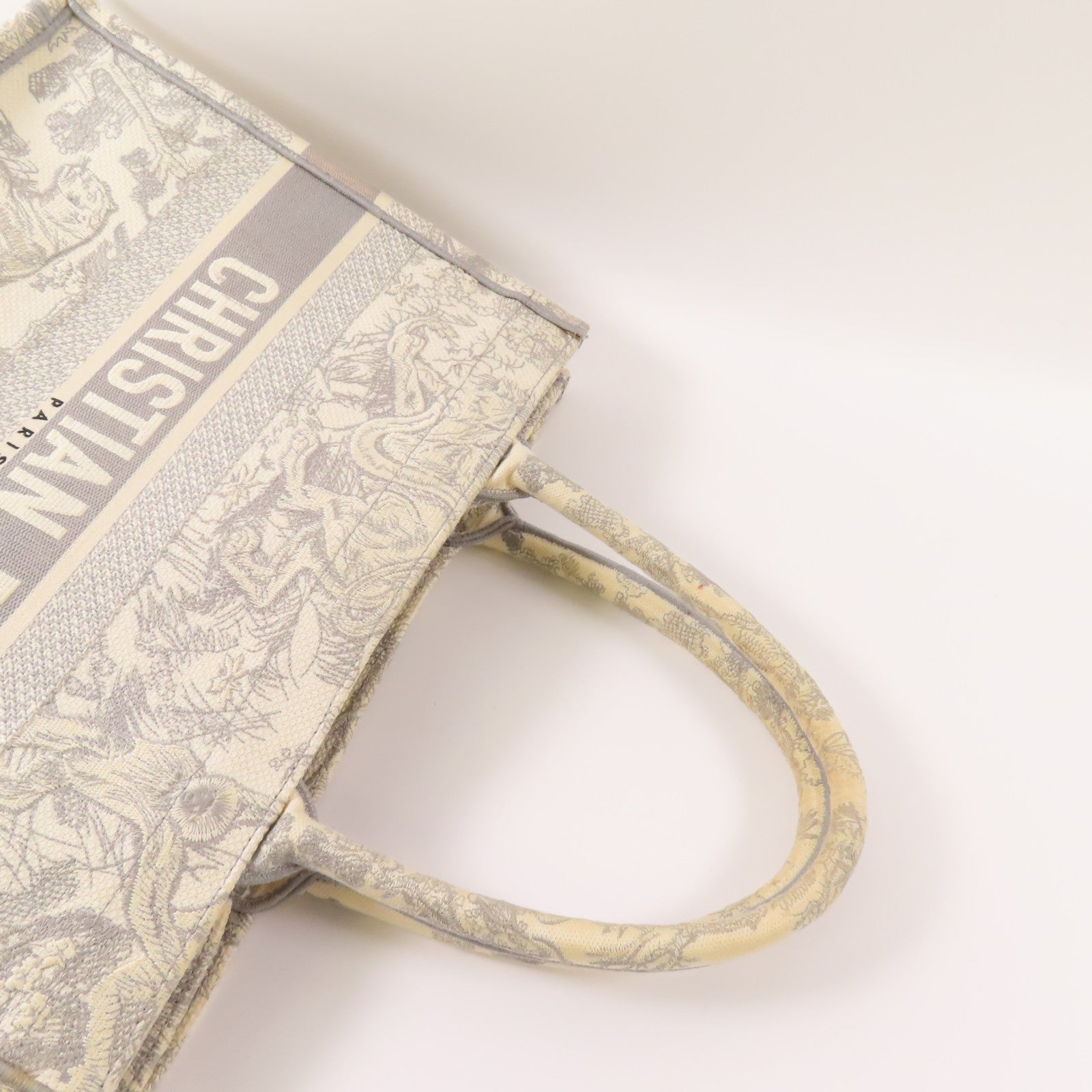 Dior 帆布Book Tote Medium手挽袋
