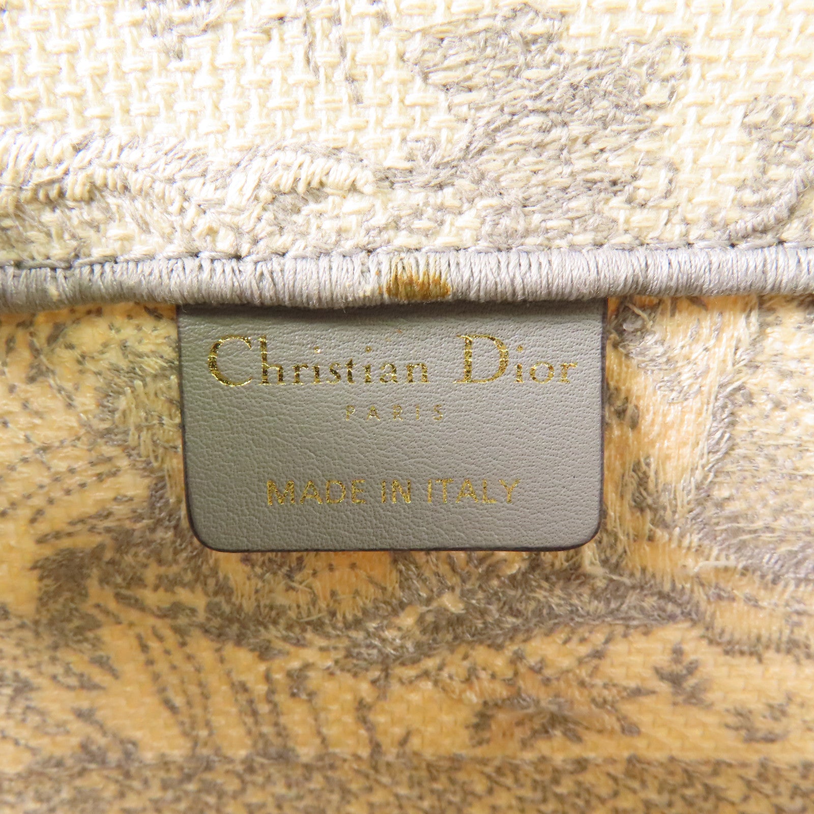 Dior 帆布Book Tote Medium手挽袋