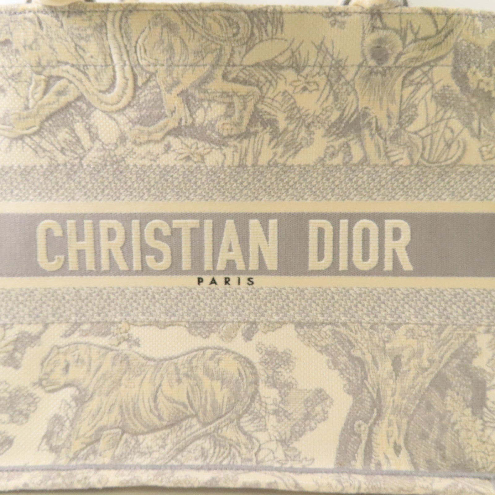 Dior 帆布Book Tote Medium手挽袋