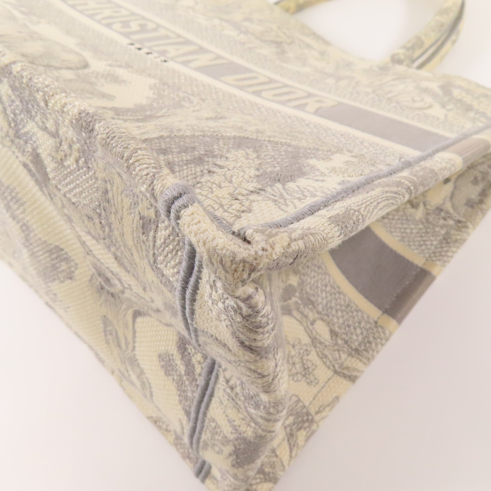 Dior 帆布Book Tote Medium手挽袋