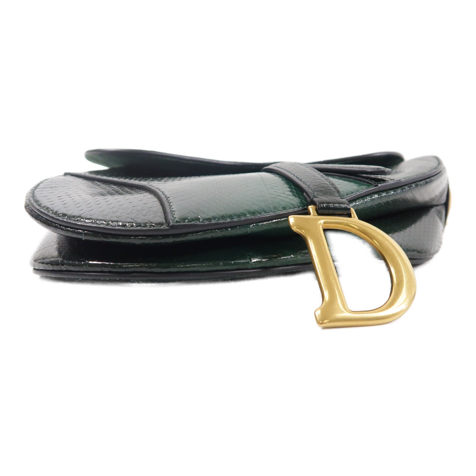 Dior 蛇皮皮革Saddle Medium肩背袋