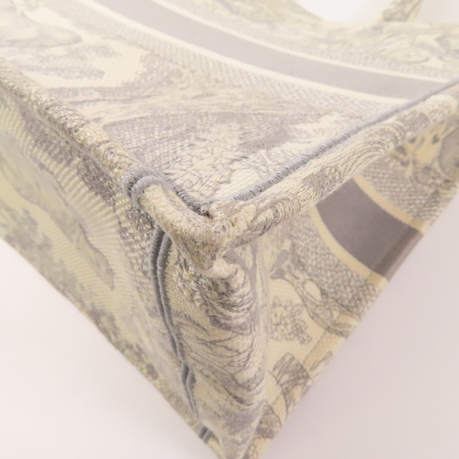 Dior 帆布Book Tote Medium手挽袋