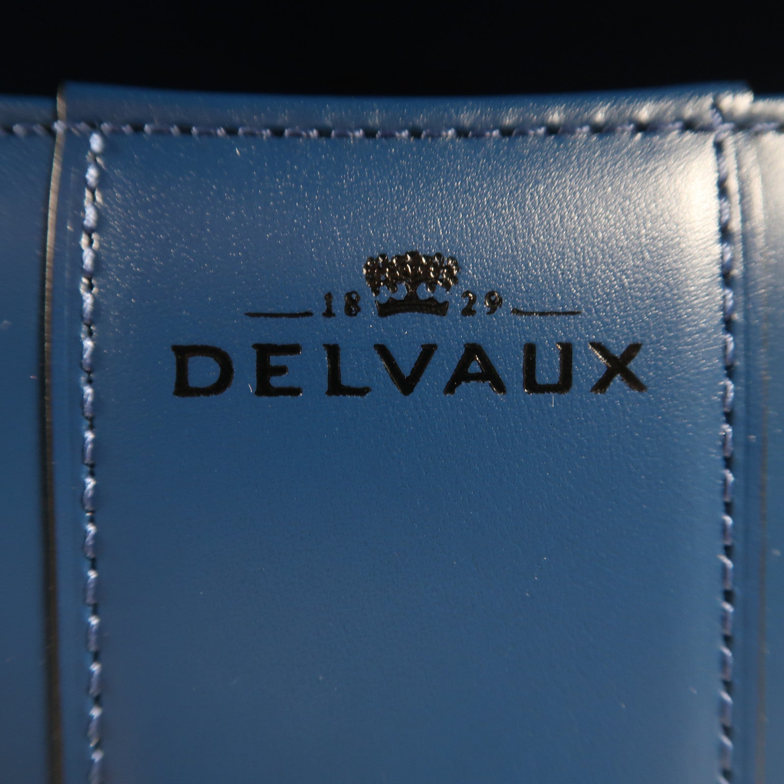 Delvaux 牛皮皮革Brillant MM銀扣手挽肩背兩用袋