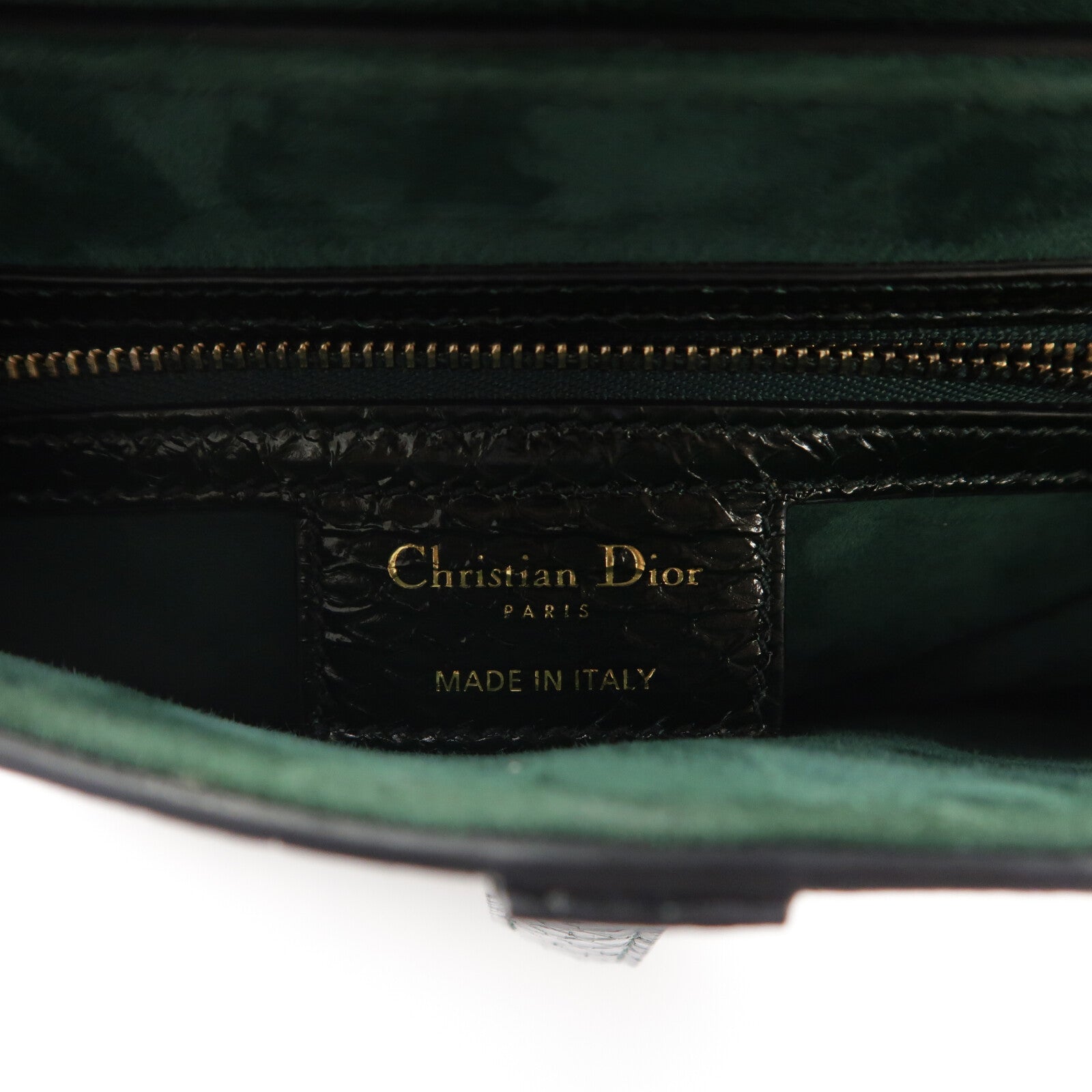 Dior 蛇皮皮革Saddle Medium肩背袋