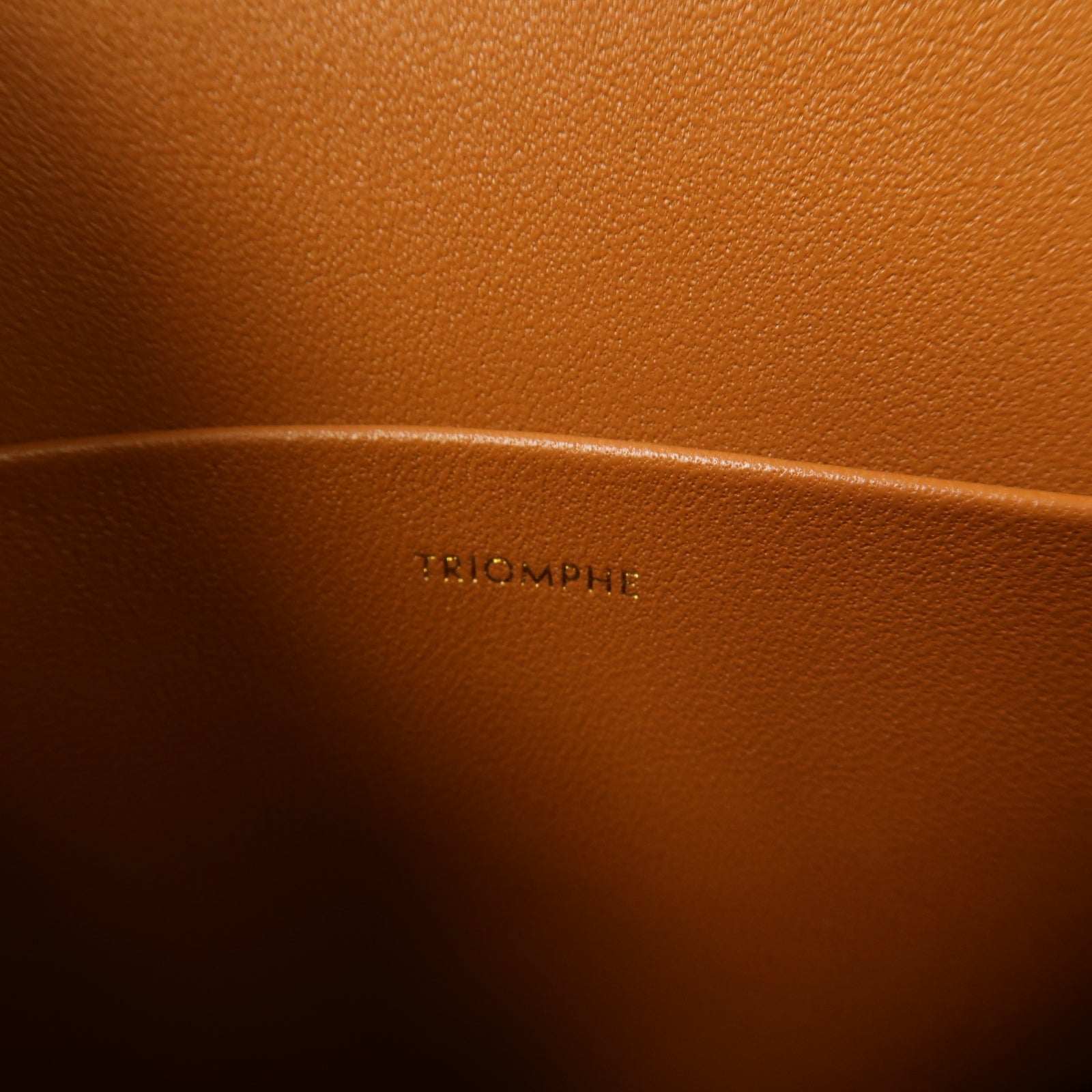 CELINE 斜紋軟呢Teen Triomphe金扣肩背袋棕色