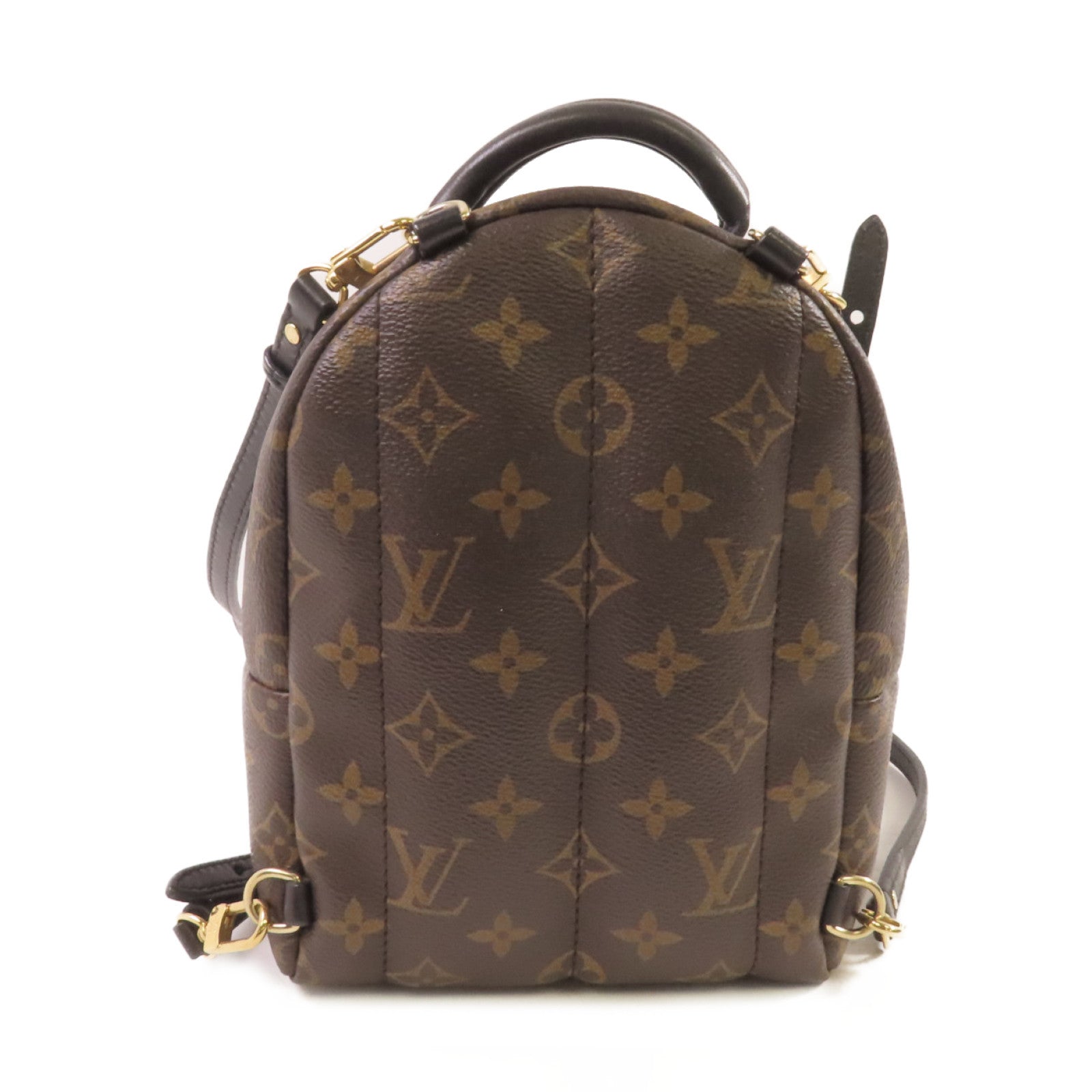 LOUIS VUITTON Monogram Palm Springs Mini Backpack