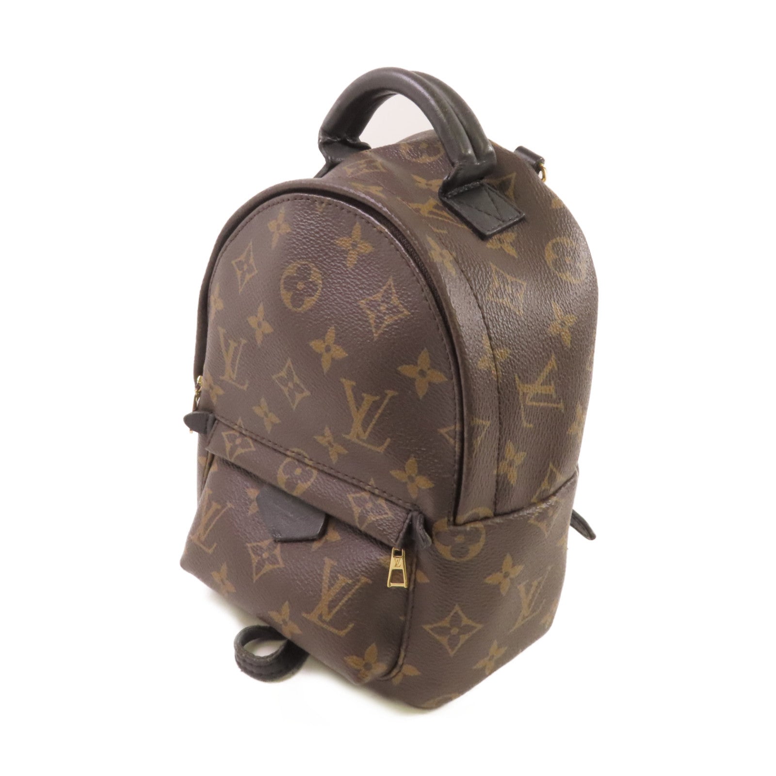LOUIS VUITTON Monogram Palm Springs Mini Backpack