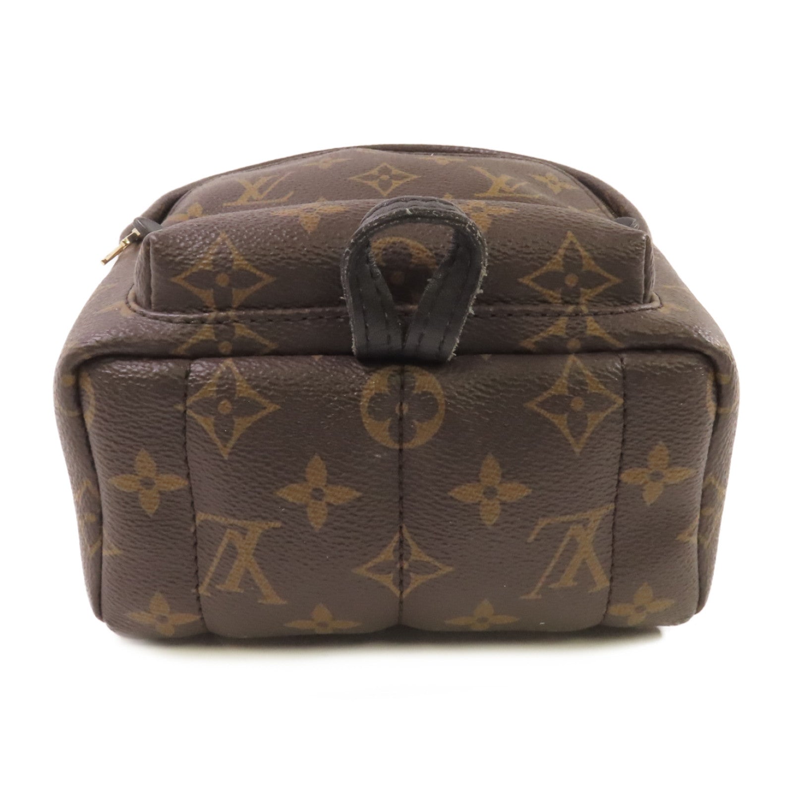 LOUIS VUITTON Monogram Palm Springs Mini Backpack