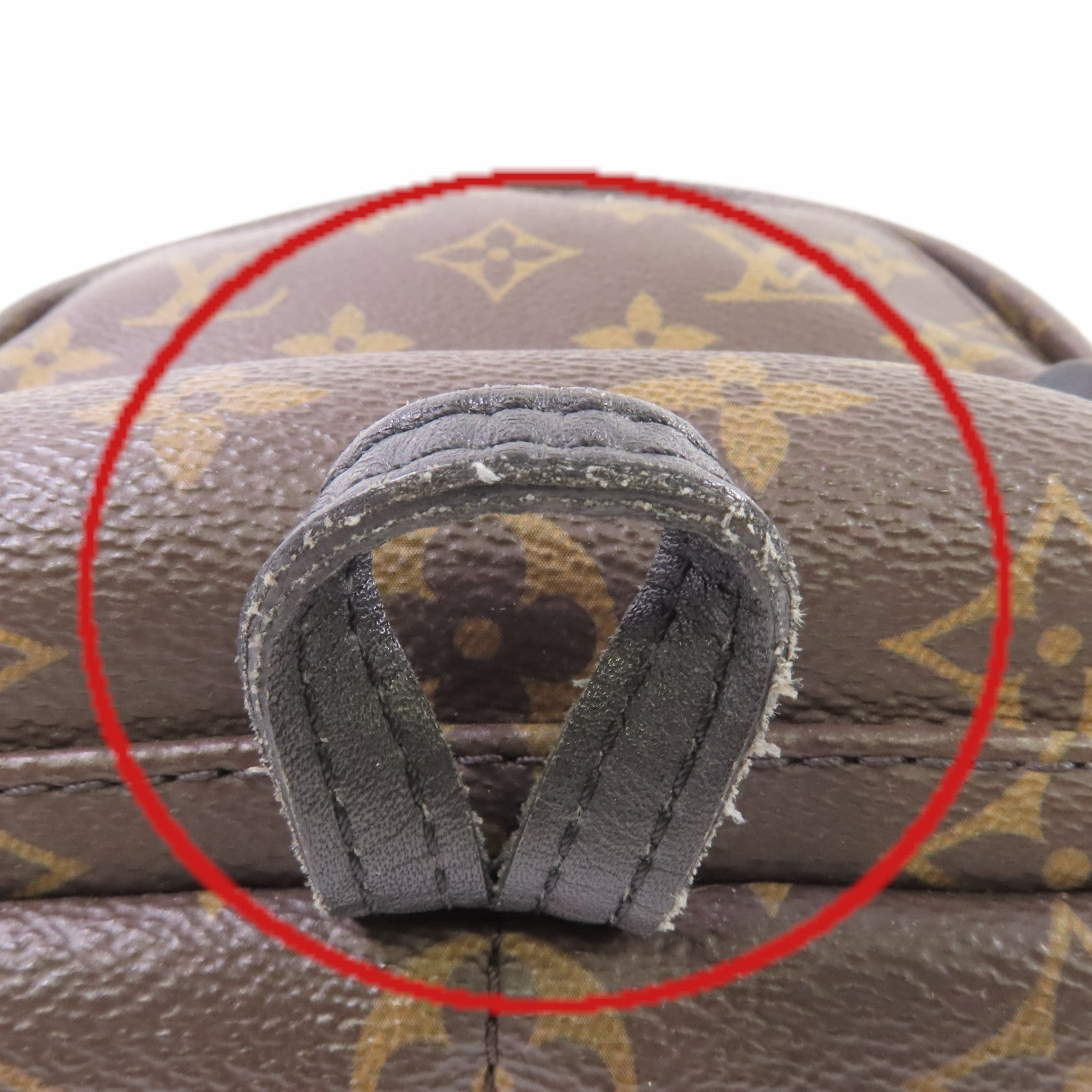 LOUIS VUITTON Monogram Palm Springs Mini Backpack