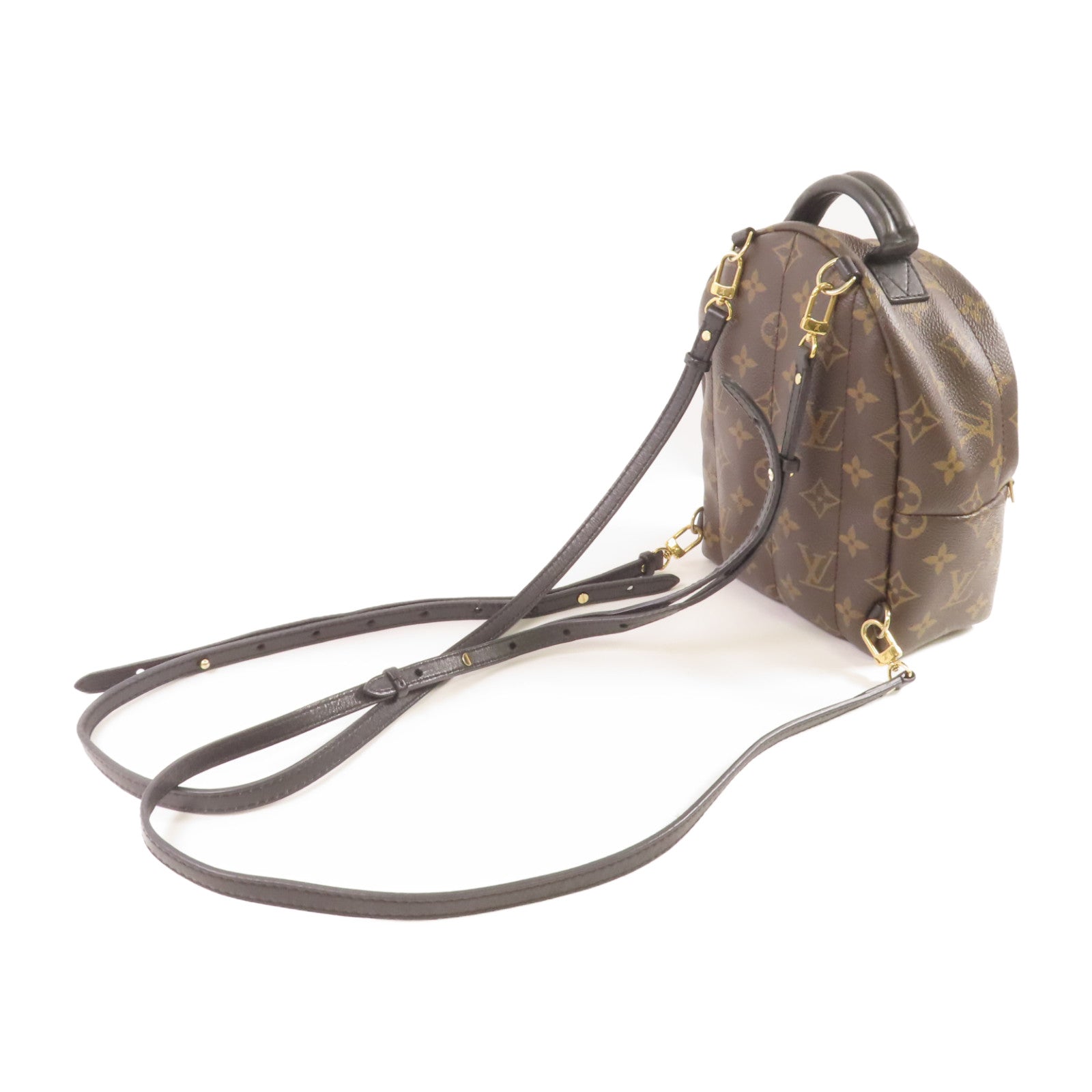 LOUIS VUITTON Monogram Palm Springs Mini Backpack