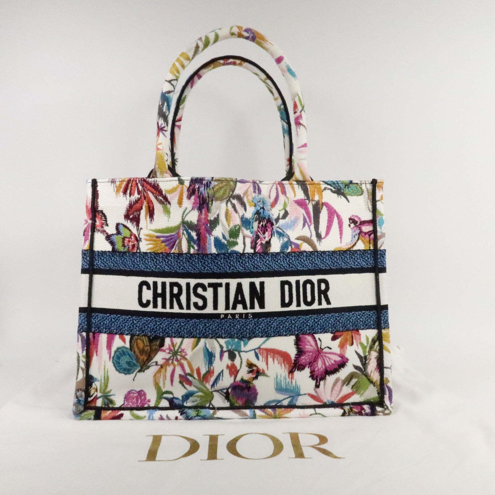 Dior 帆布Book Tote Medium手挽袋