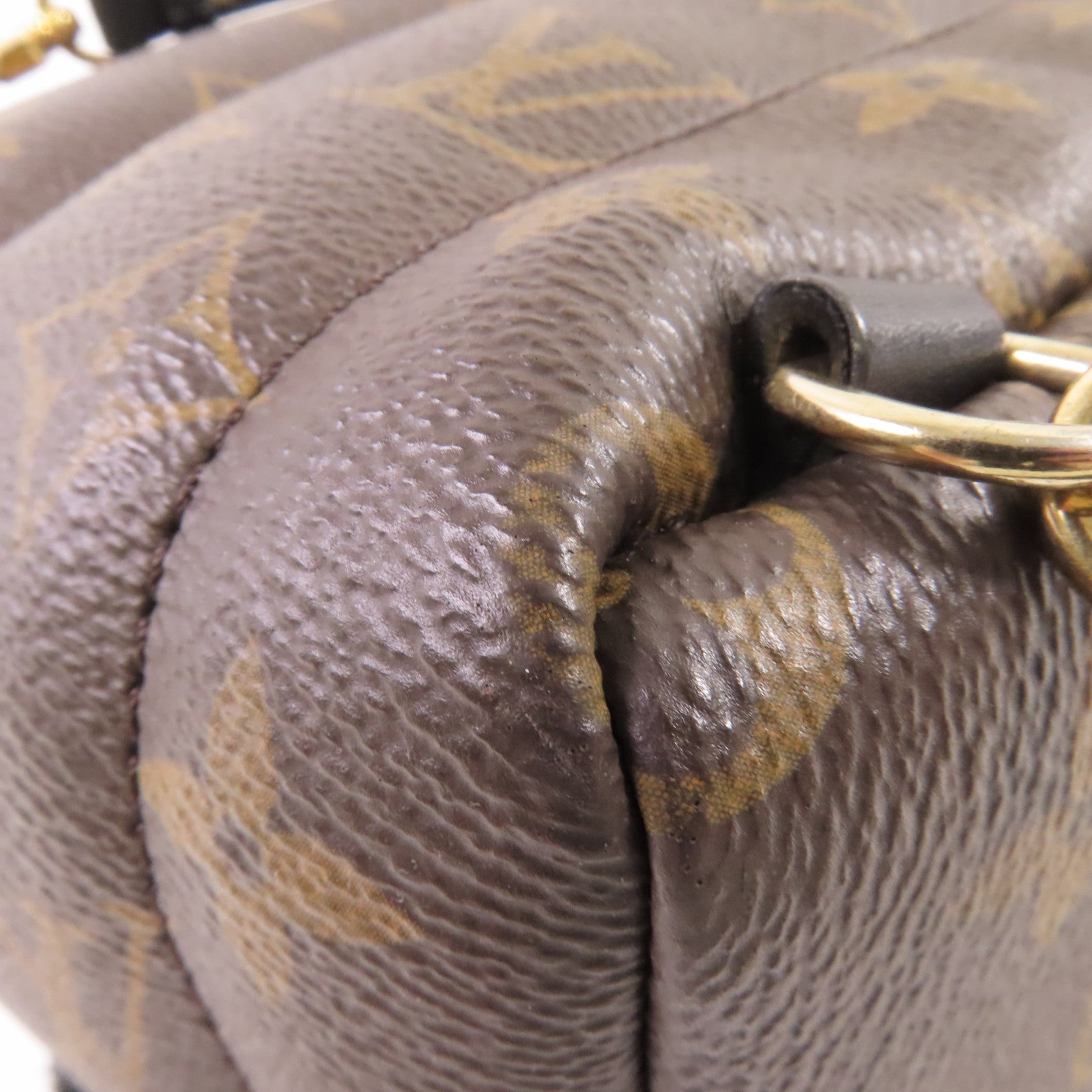 LOUIS VUITTON Monogram Palm Springs Mini Backpack