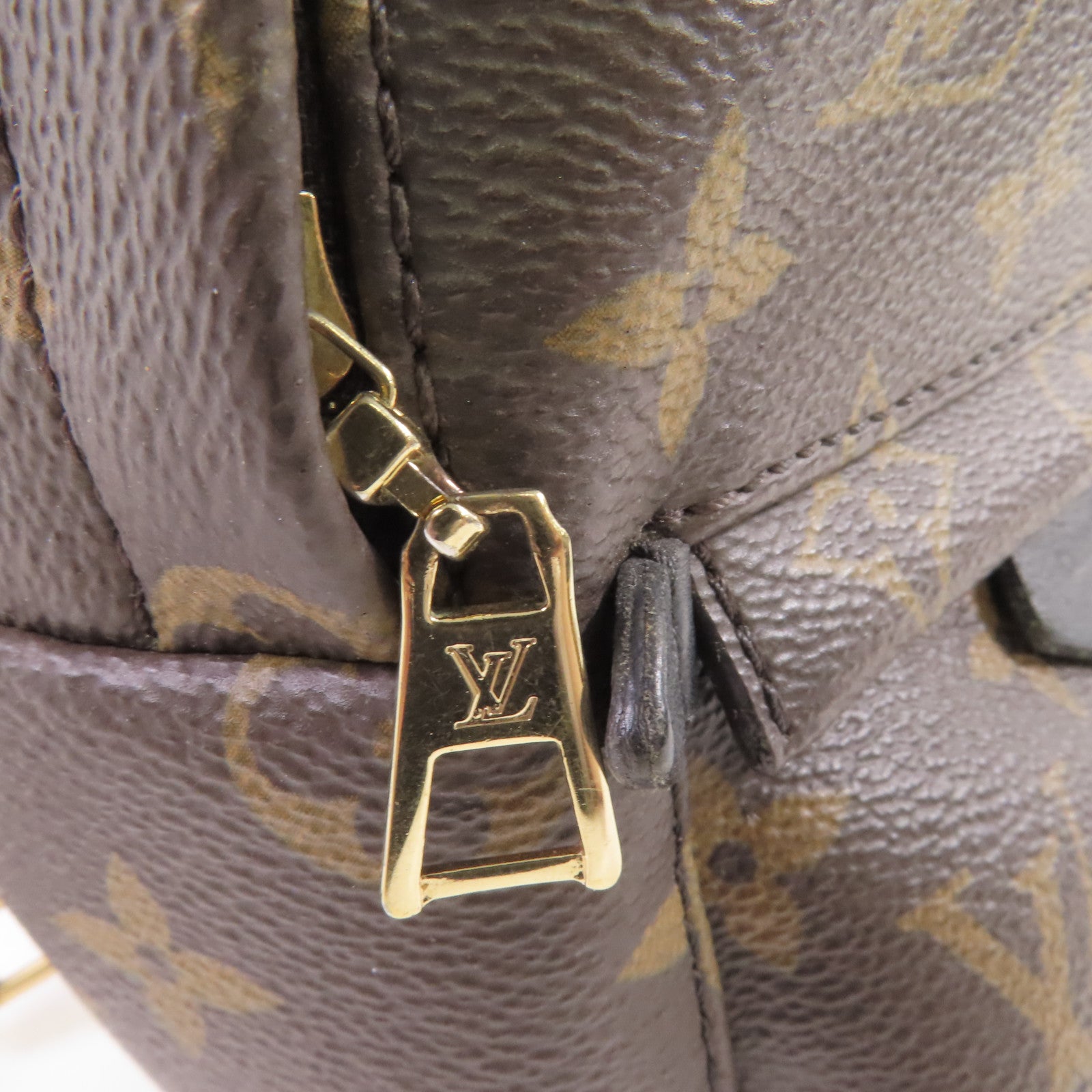 LOUIS VUITTON Monogram Palm Springs Mini Backpack