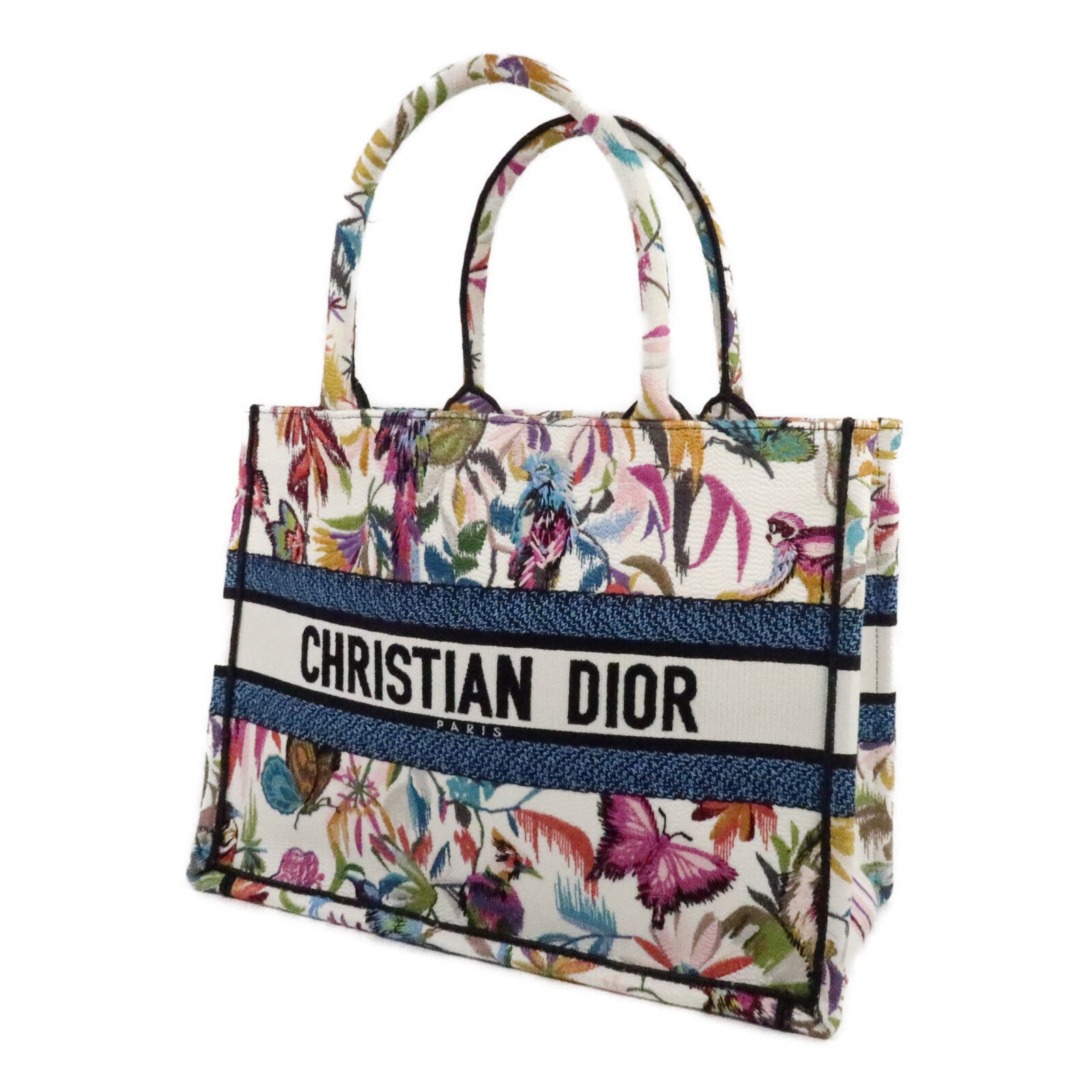 Dior 帆布Book Tote Medium手挽袋