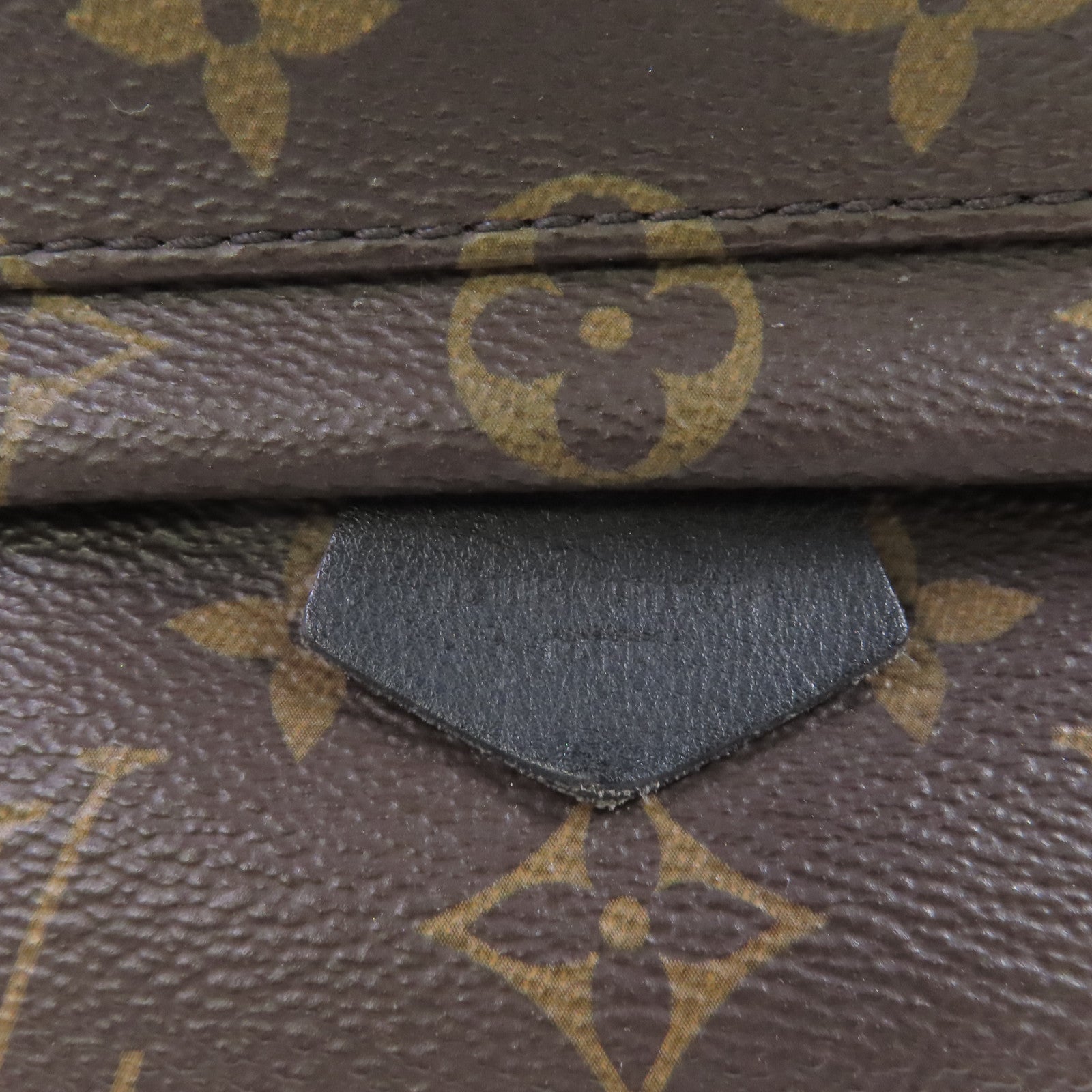 LOUIS VUITTON Monogram Palm Springs Mini Backpack