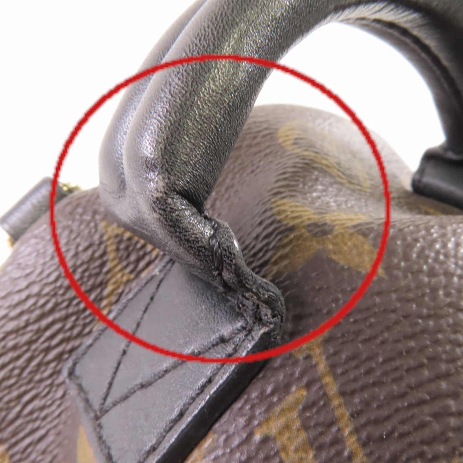 LOUIS VUITTON Monogram Palm Springs Mini Backpack