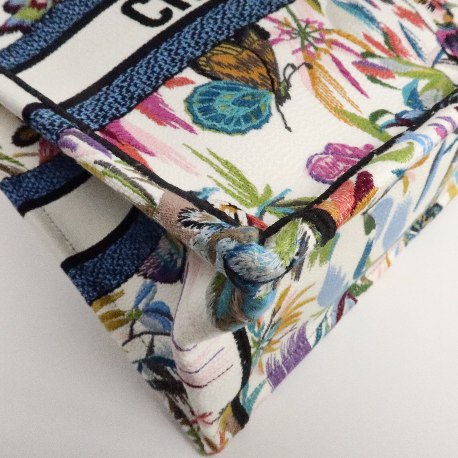 Dior 帆布Book Tote Medium手挽袋