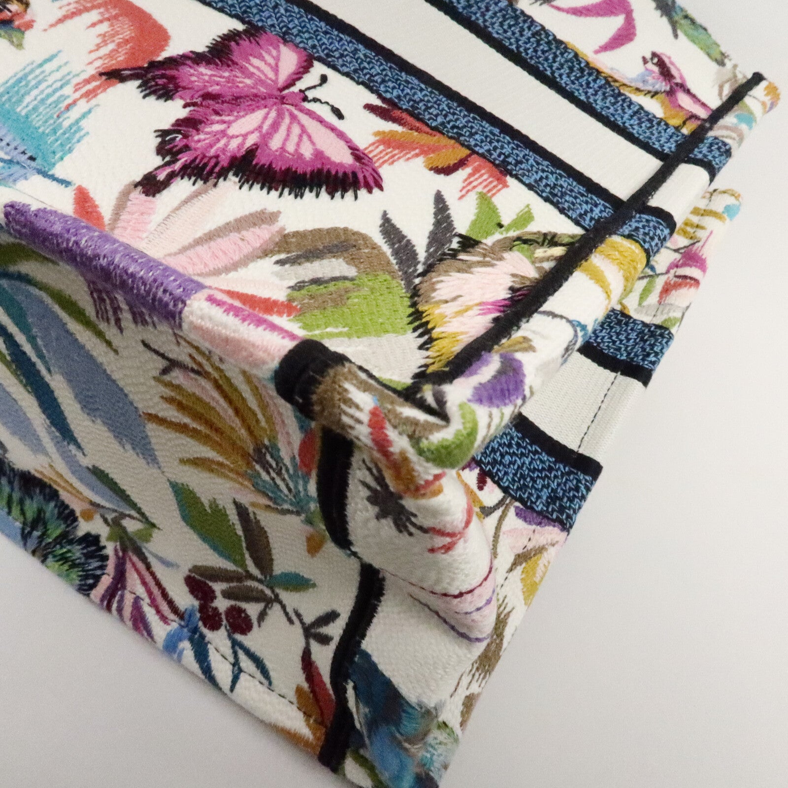 Dior 帆布Book Tote Medium手挽袋