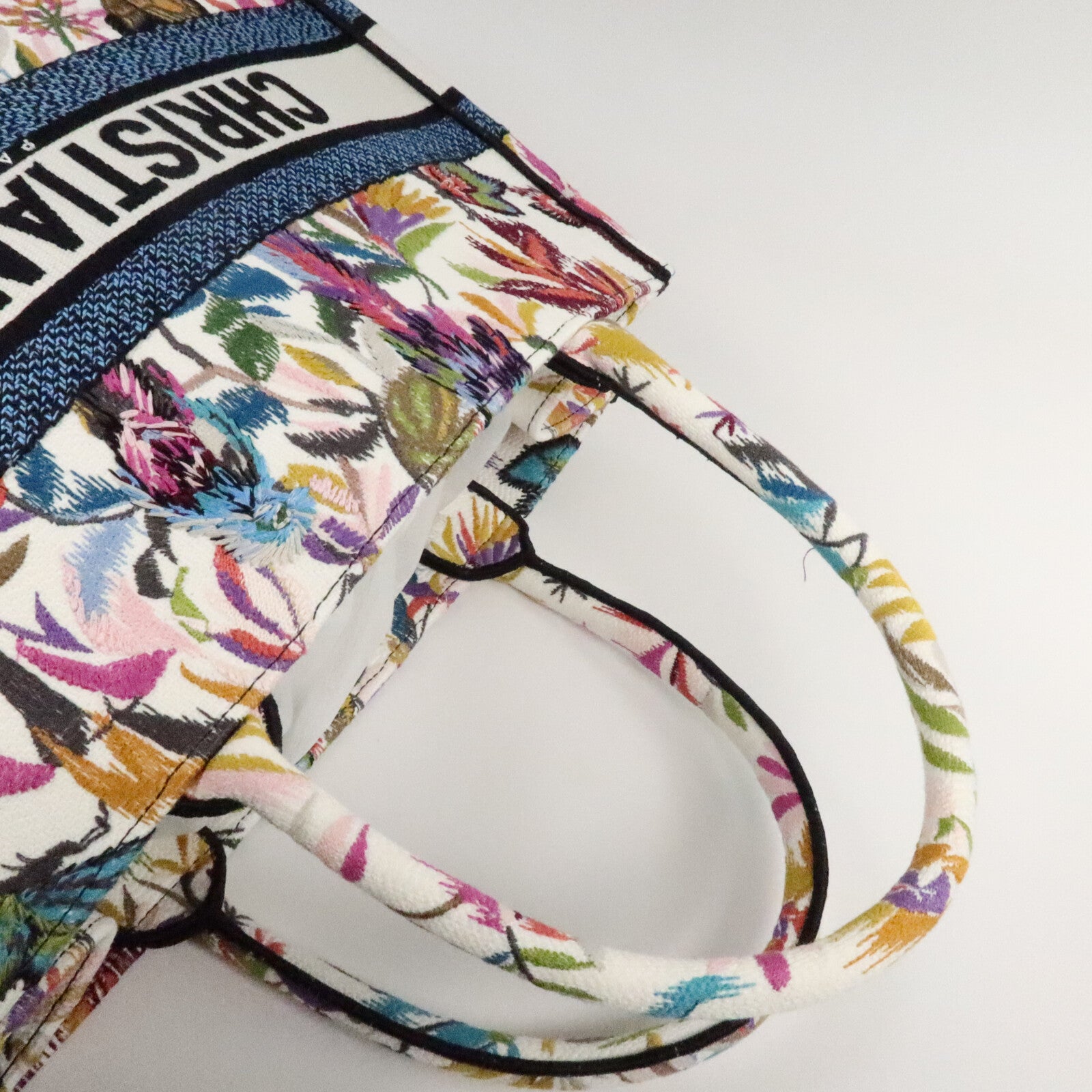 Dior 帆布Book Tote Medium手挽袋