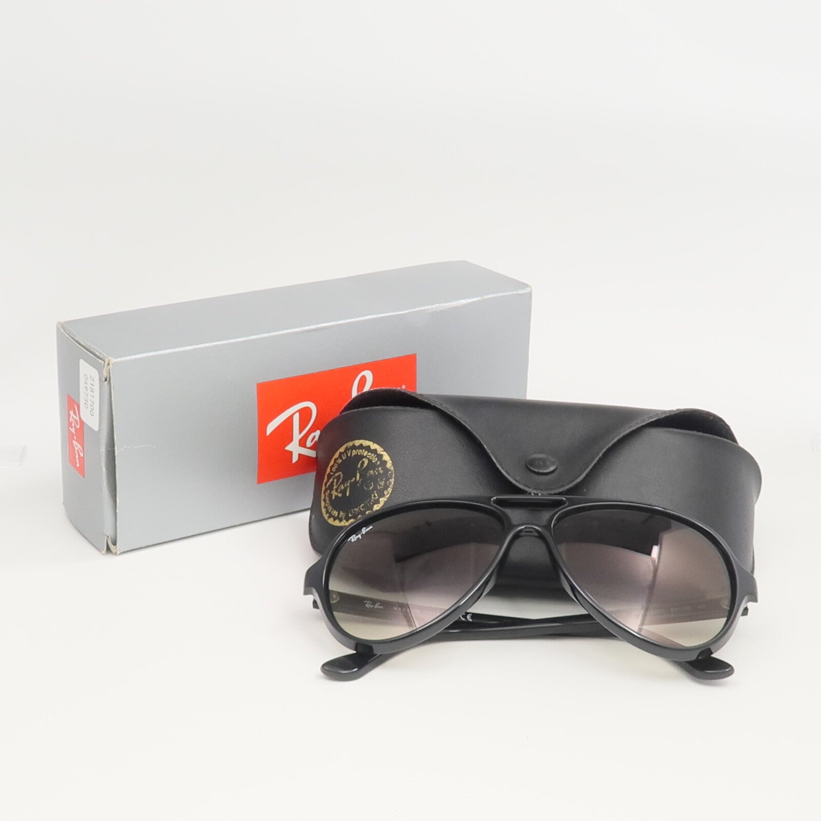 Ray-Ban PVC Sunglasses太陽眼鏡