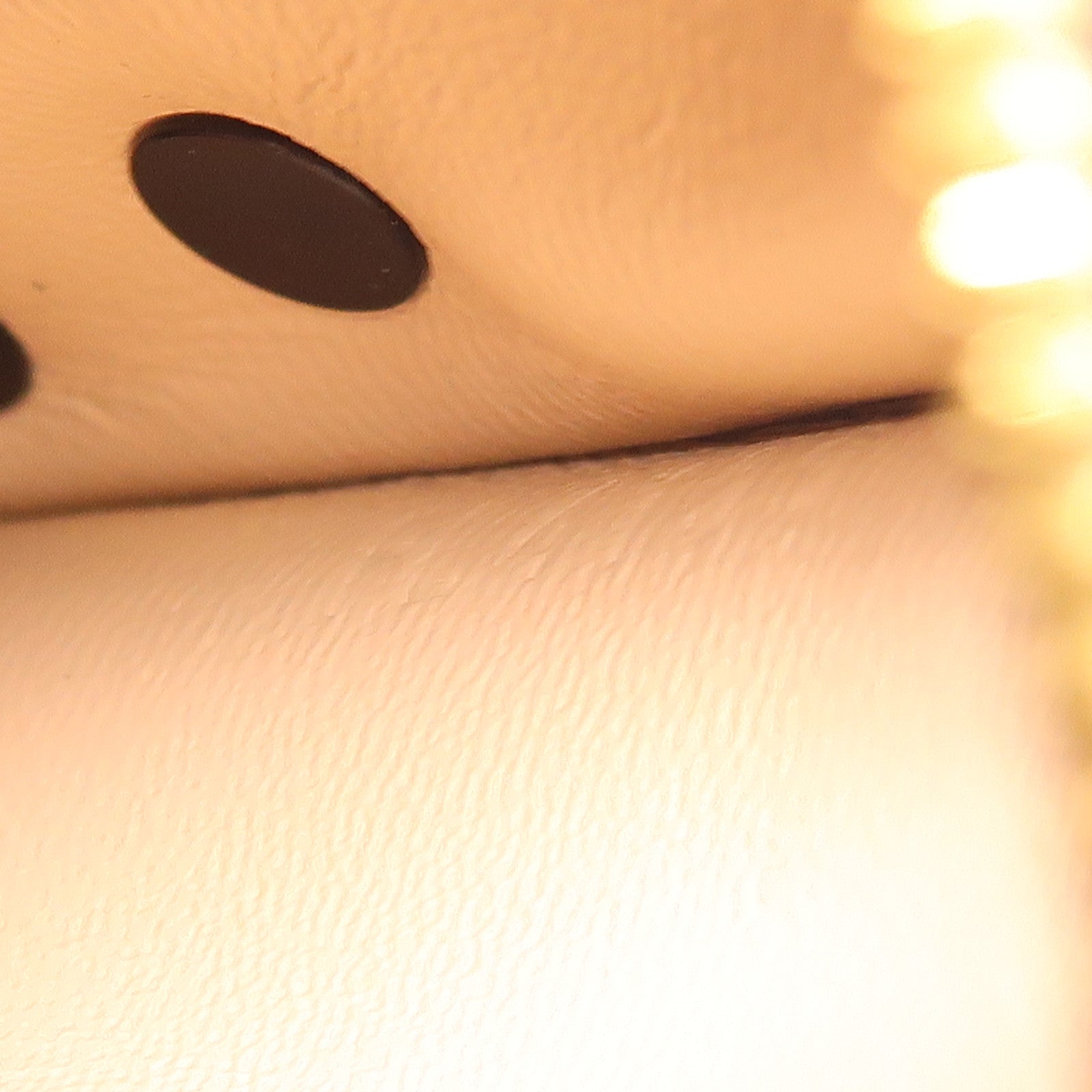 LOUIS VUITTON Monogram Reverse Trunk Clutch金扣肩背袋棕色