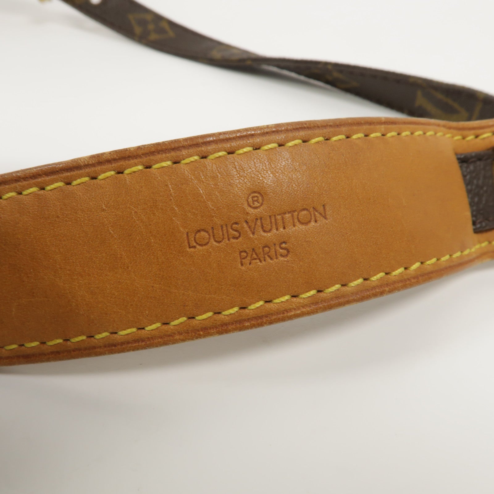 LOUIS VUITTON Monogram Danube肩背袋